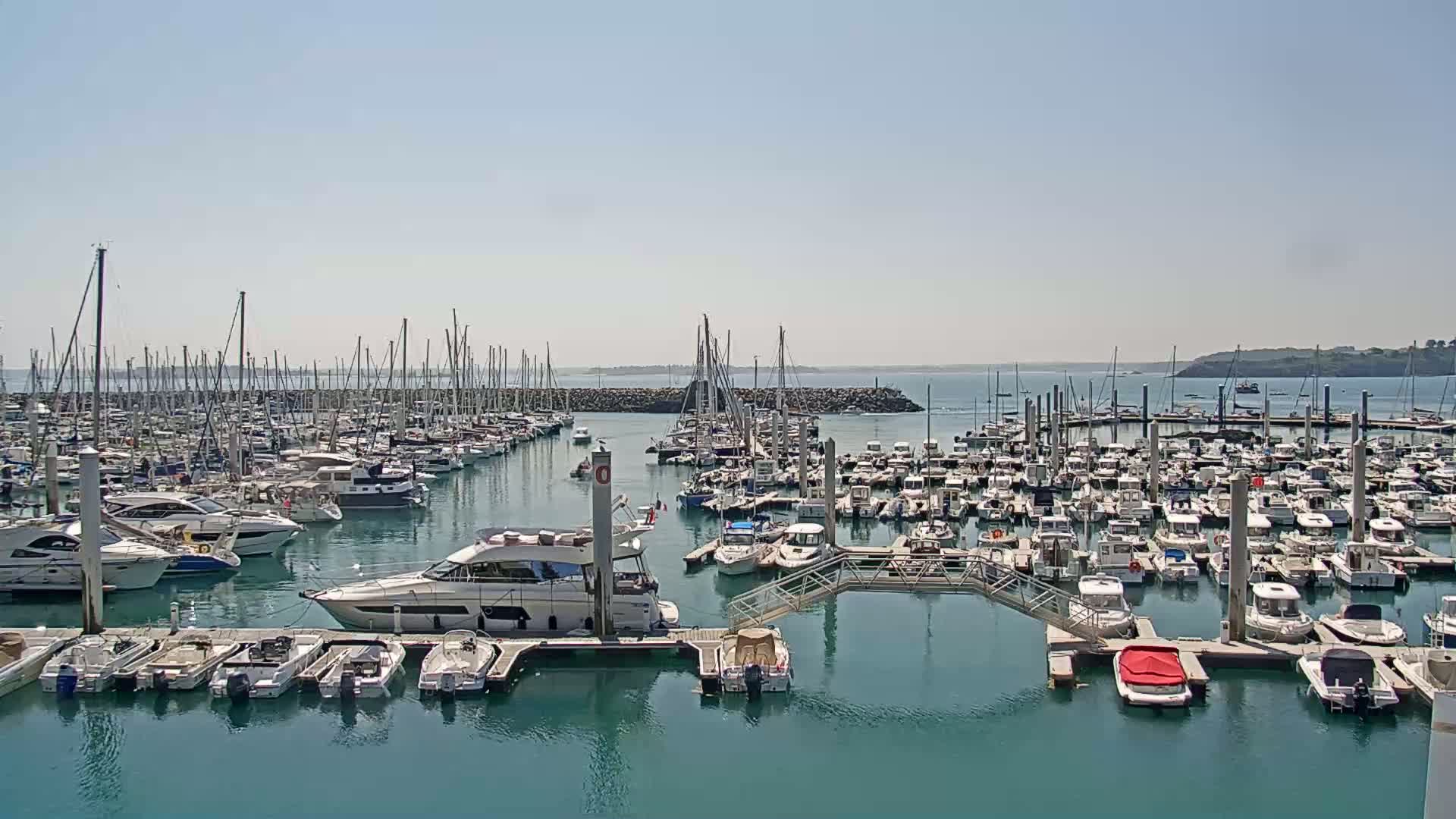 A large marina filled with numerous sailboats and motorboats is visible on a sunny day with calm water.