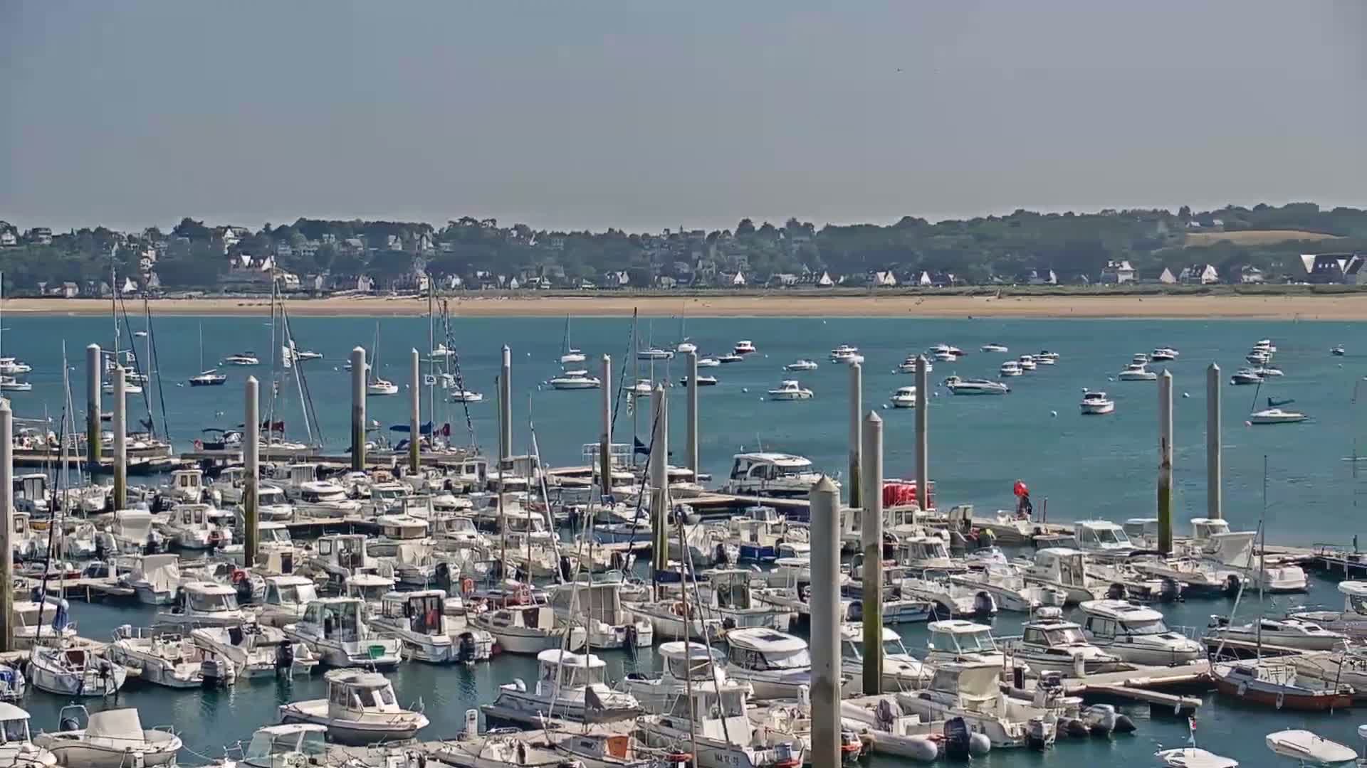 A marina filled with numerous boats of various sizes is situated on calm, blue water, with a sandy shore and distant town visible in the background under sunny skies.