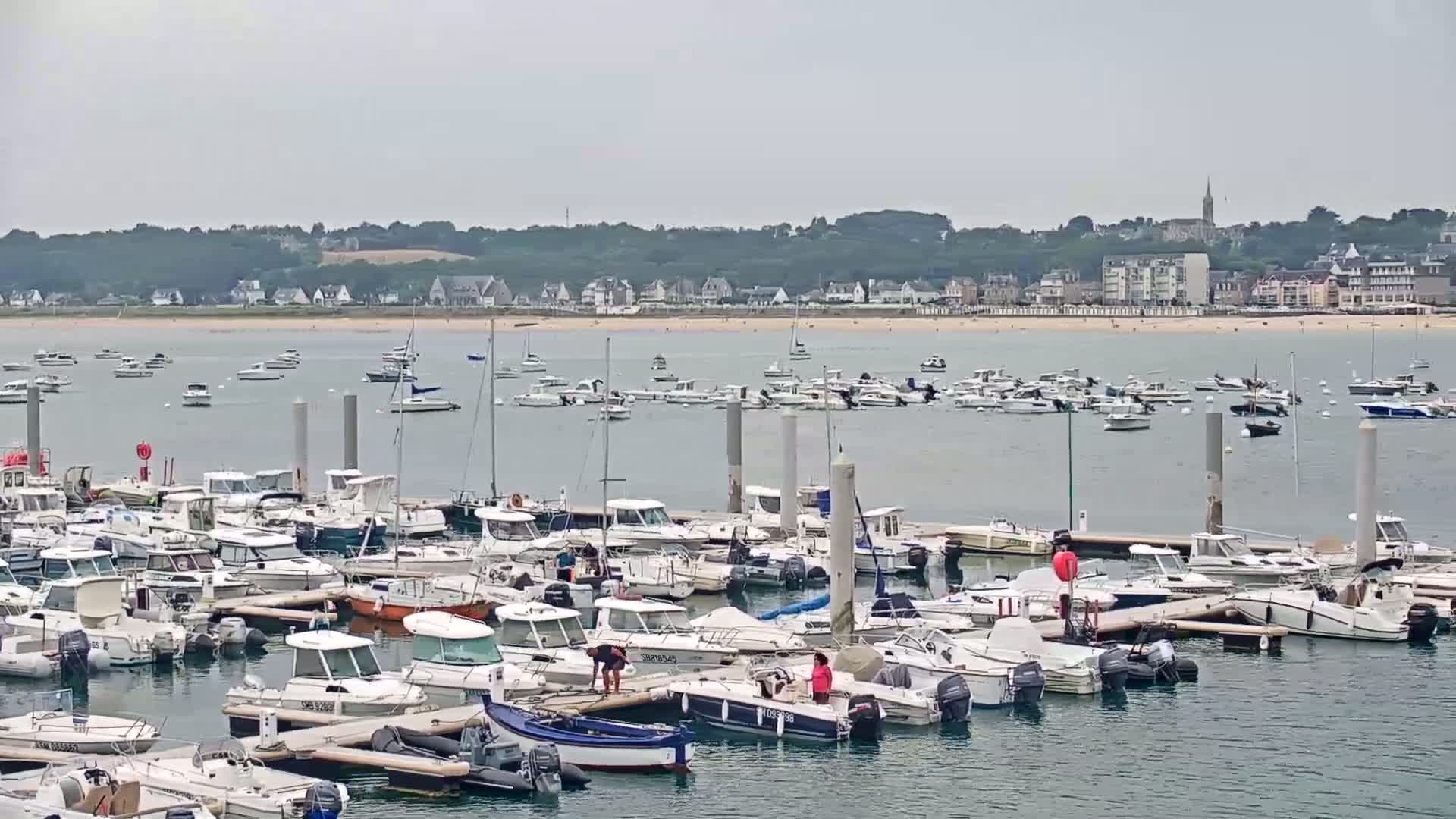 A marina filled with numerous boats is situated in front of a calm bay and a distant town under an overcast sky.