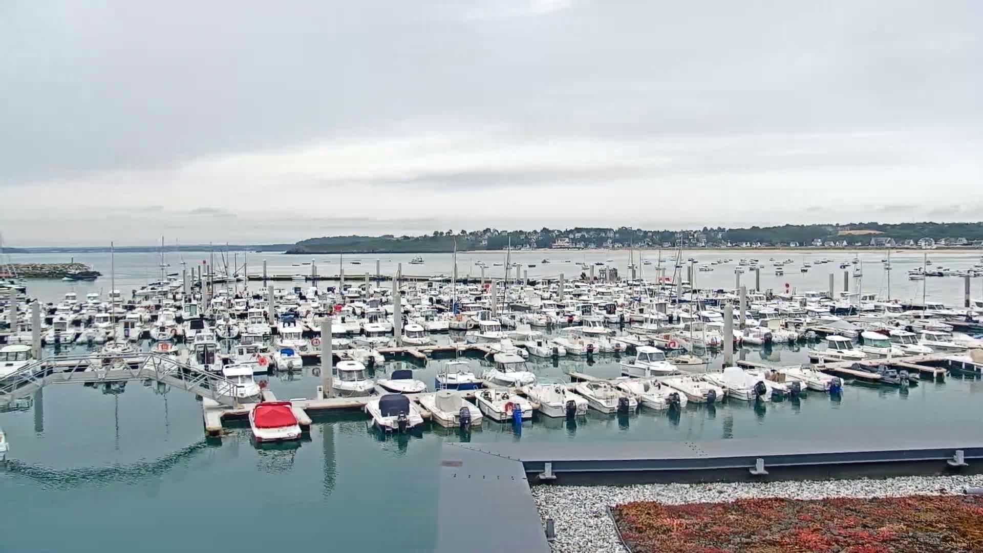 A large marina filled with numerous boats under an overcast sky.