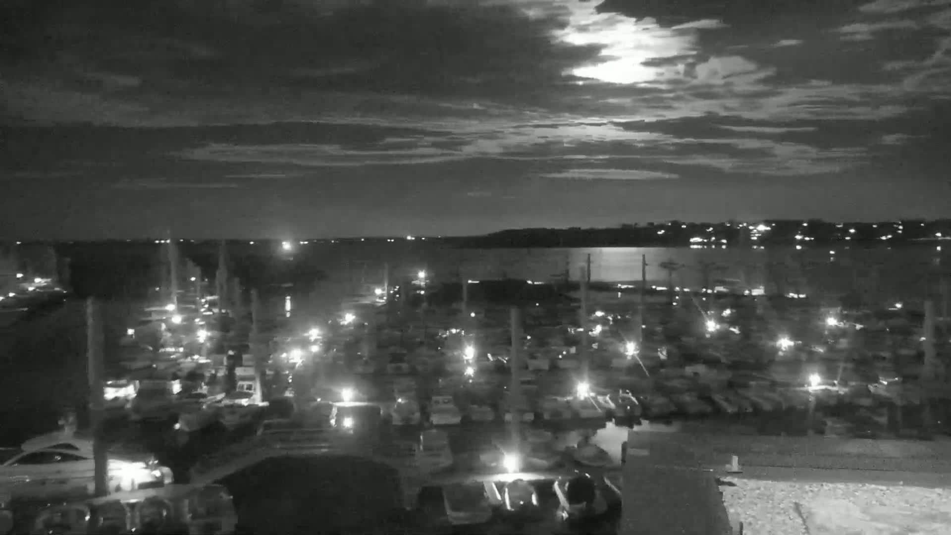 A nighttime, moonlit view of a marina filled with numerous boats, with a calm body of water and a distant shoreline visible under a partly cloudy sky.