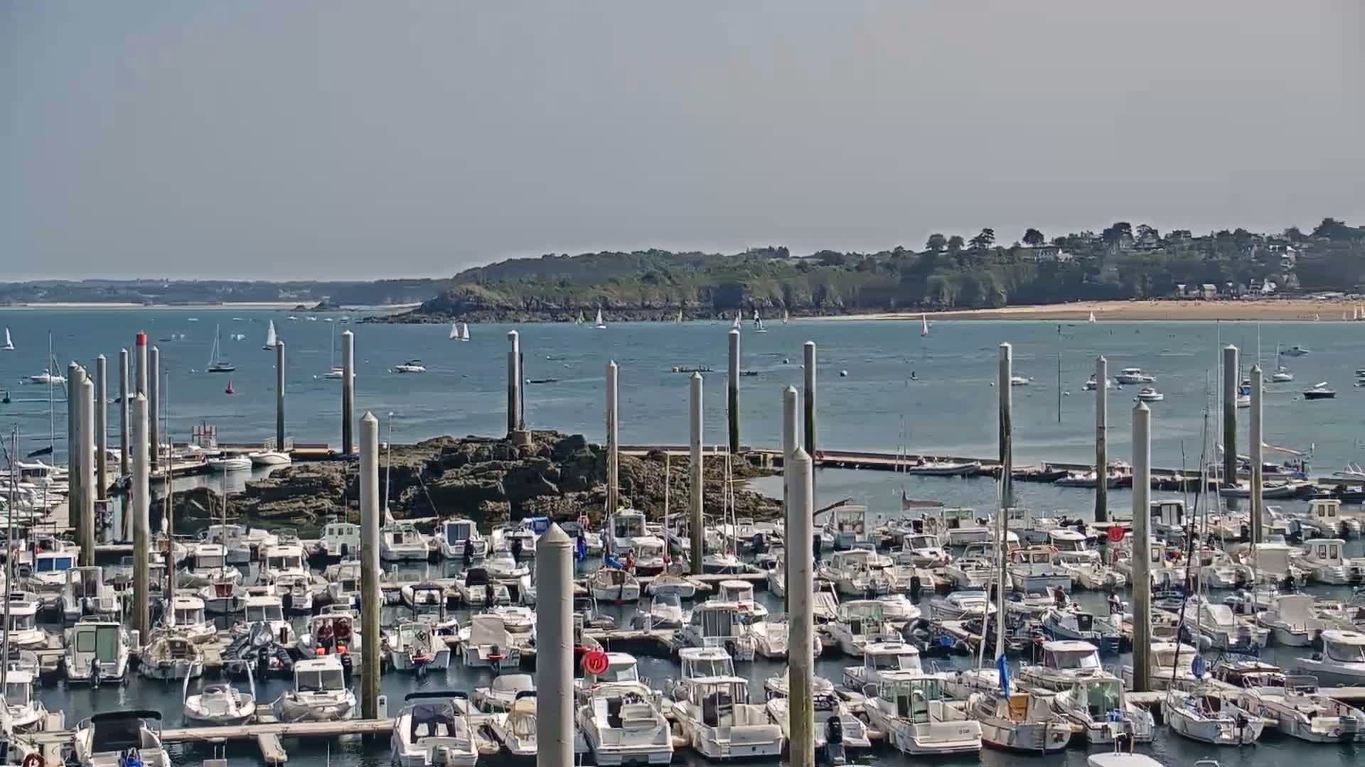 A nighttime, moonlit view of a marina filled with numerous boats, with a calm body of water and a distant shoreline visible under a partly cloudy sky.