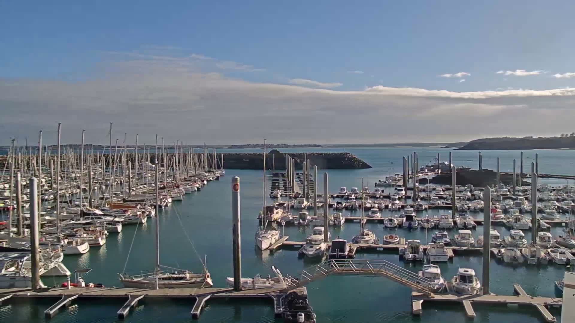 A nighttime, moonlit view of a marina filled with numerous boats, with a calm body of water and a distant shoreline visible under a partly cloudy sky.