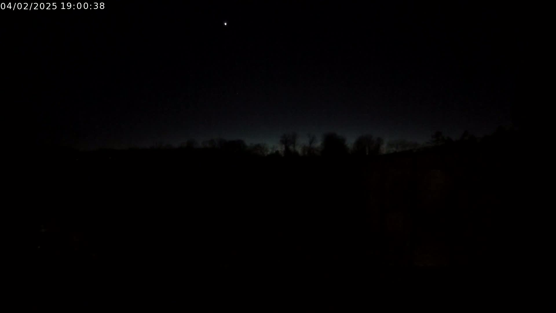 A dark, nighttime scene shows a silhouetted line of trees against a mostly clear sky with a single bright star visible.
