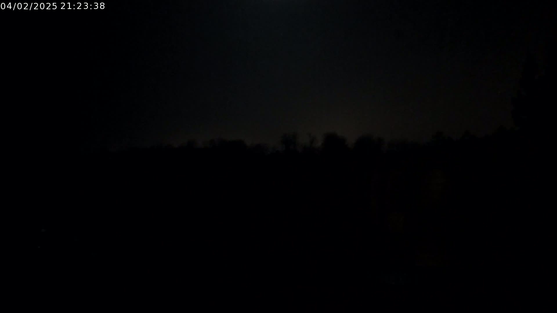 A dark, nighttime scene shows a silhouetted line of trees under a mostly clear, moonlit sky.