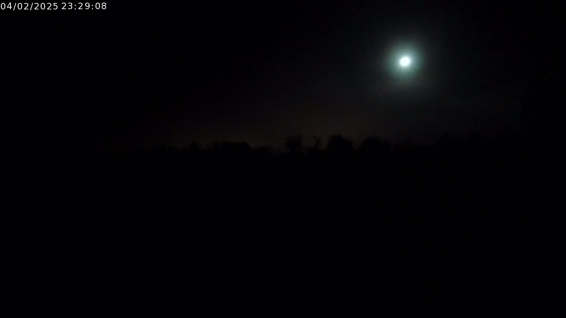 A bright moon illuminates a dark, nighttime landscape featuring a silhouetted treeline.