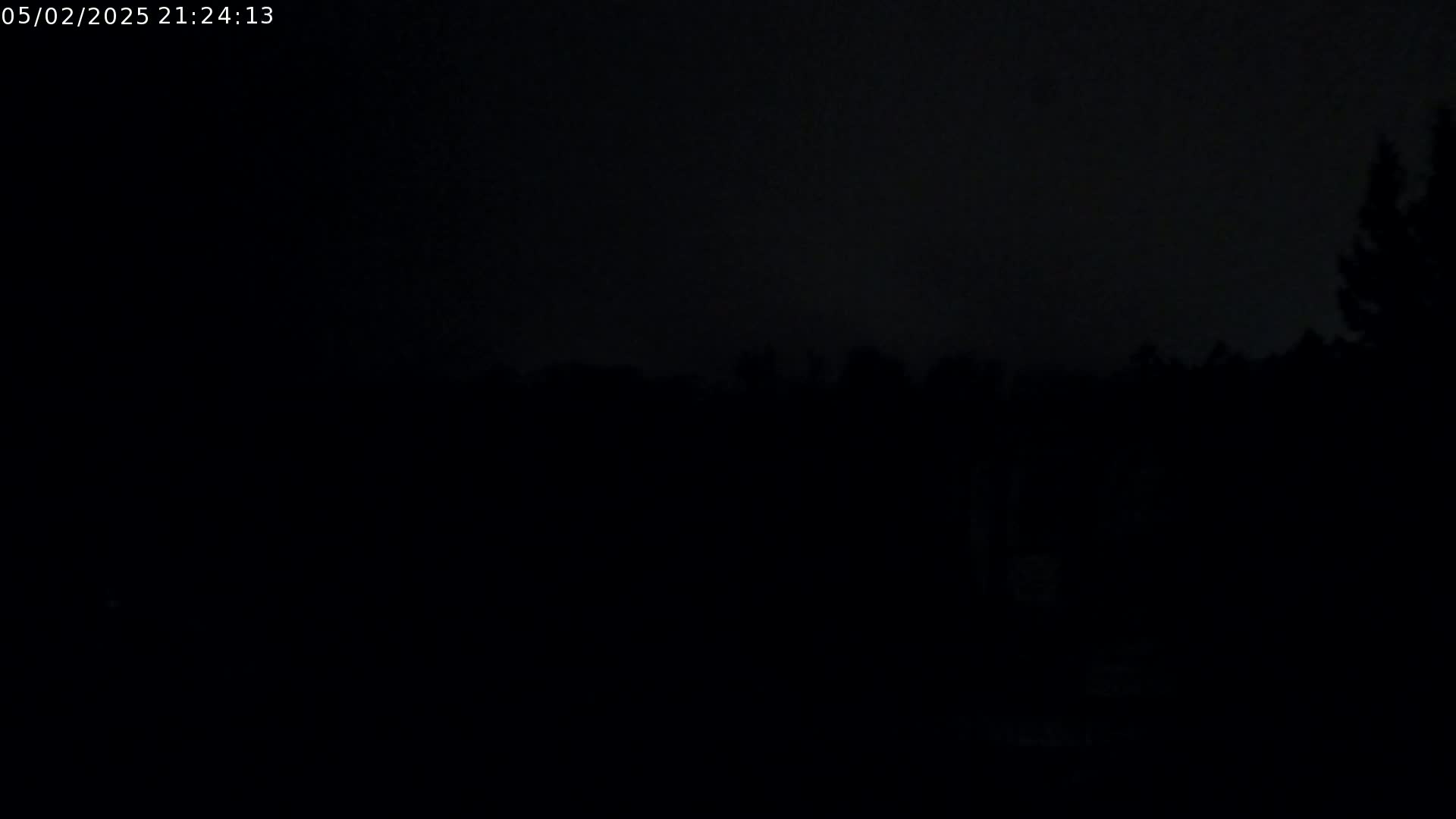 A dark, nighttime scene shows a silhouetted line of trees under a mostly cloudy sky.