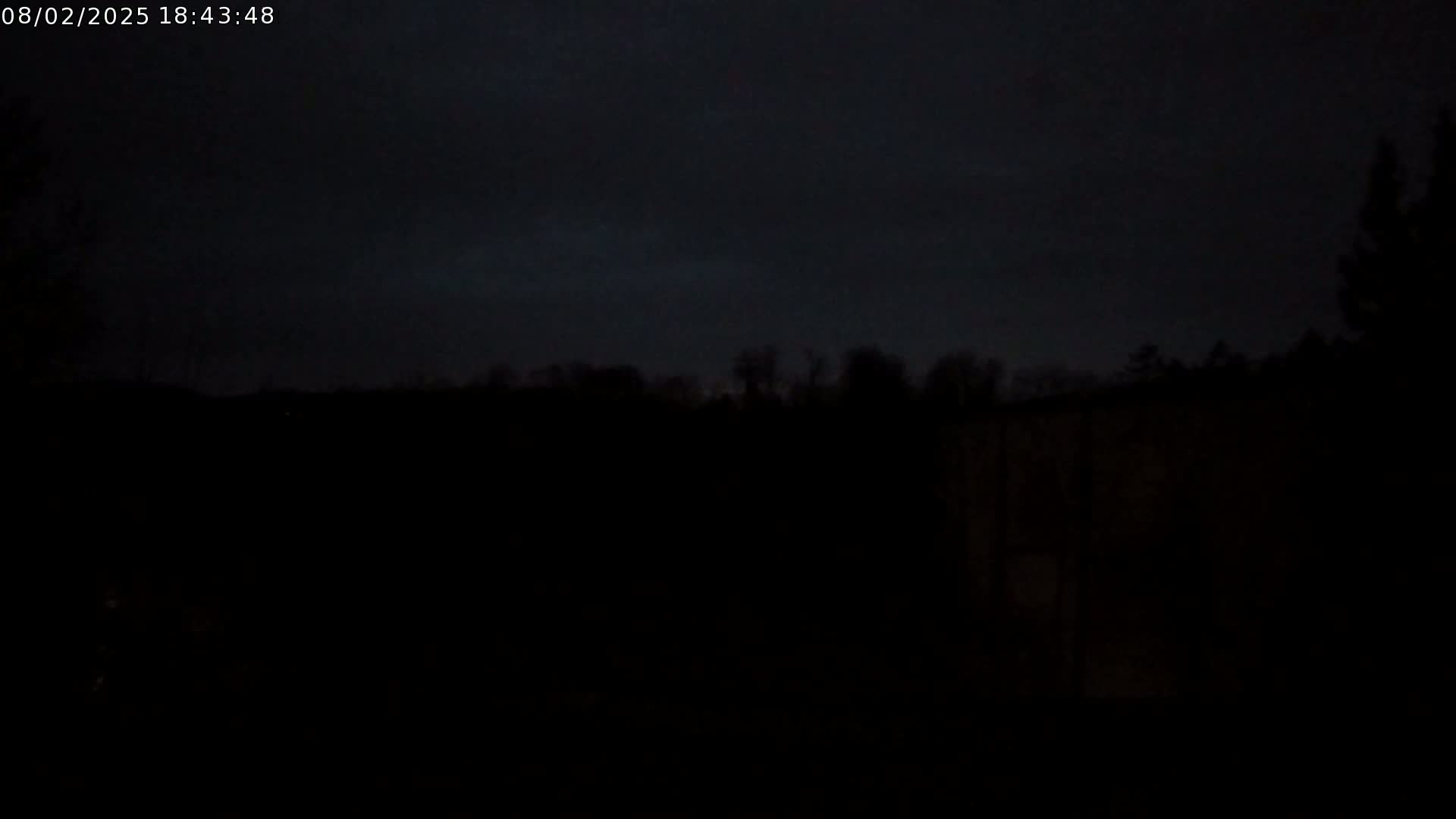 A dark, nighttime scene shows a silhouetted line of trees against a mostly cloudy sky.