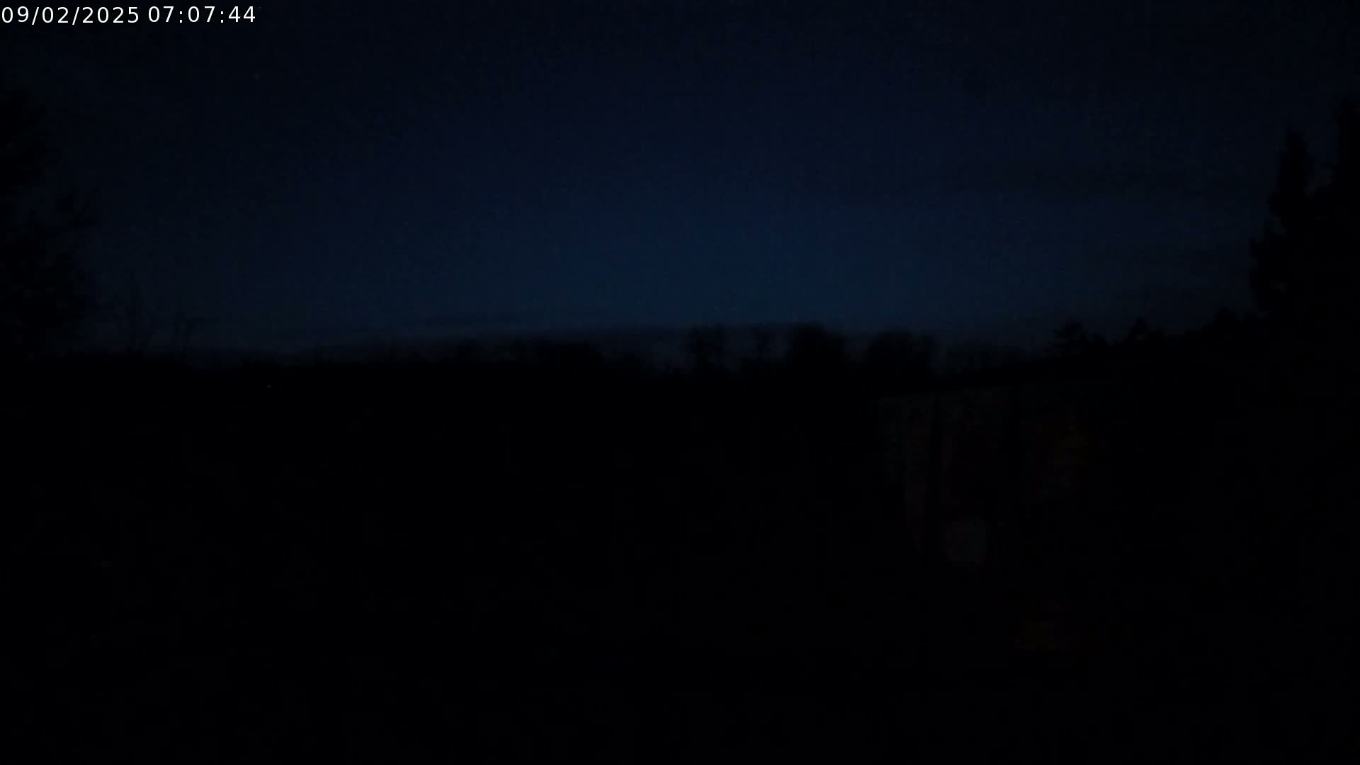 A dark, nighttime scene shows a silhouetted line of trees against a nearly black sky.