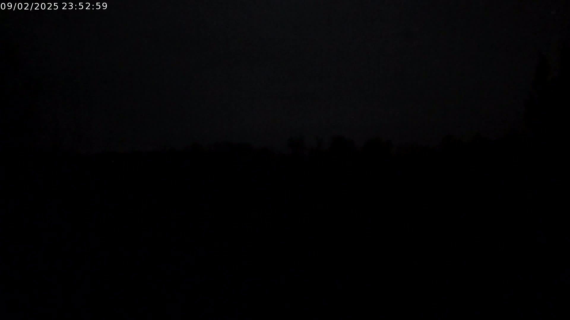 A dark, nighttime outdoor scene shows a silhouetted line of trees against a very dark sky.