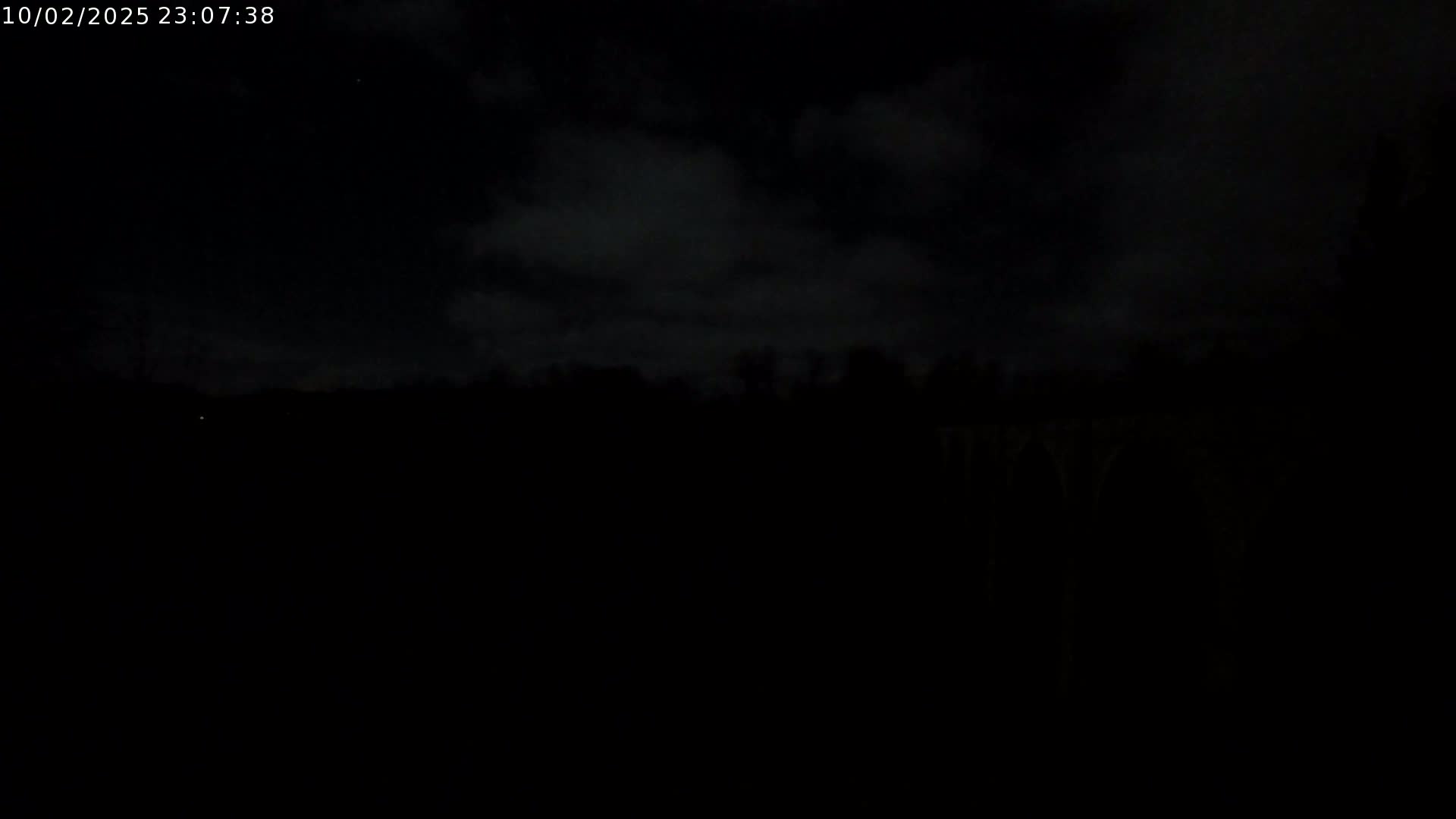 A dark, nighttime scene shows a mostly clouded sky above a silhouetted line of trees and vegetation.