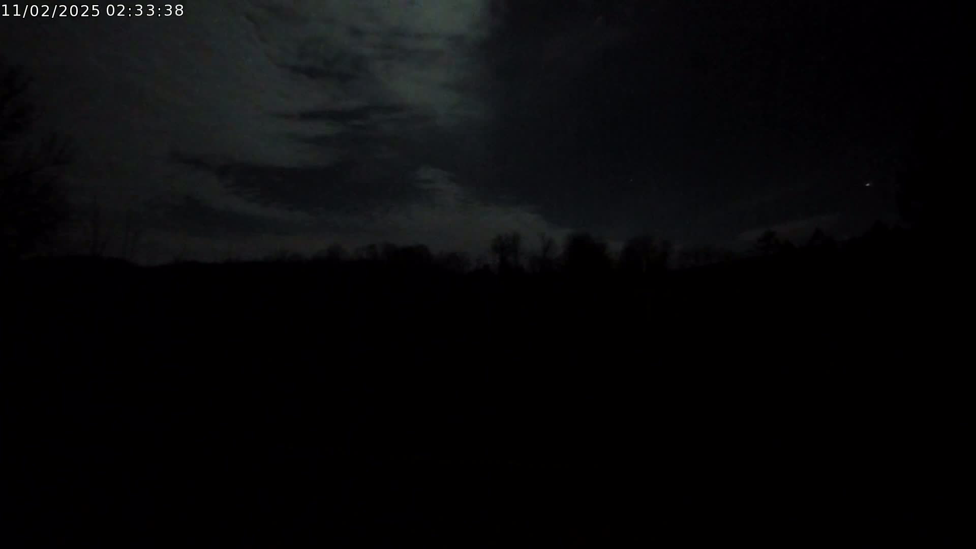 A dark, nighttime scene shows a silhouetted line of trees under a cloudy sky with a hint of moonlight.