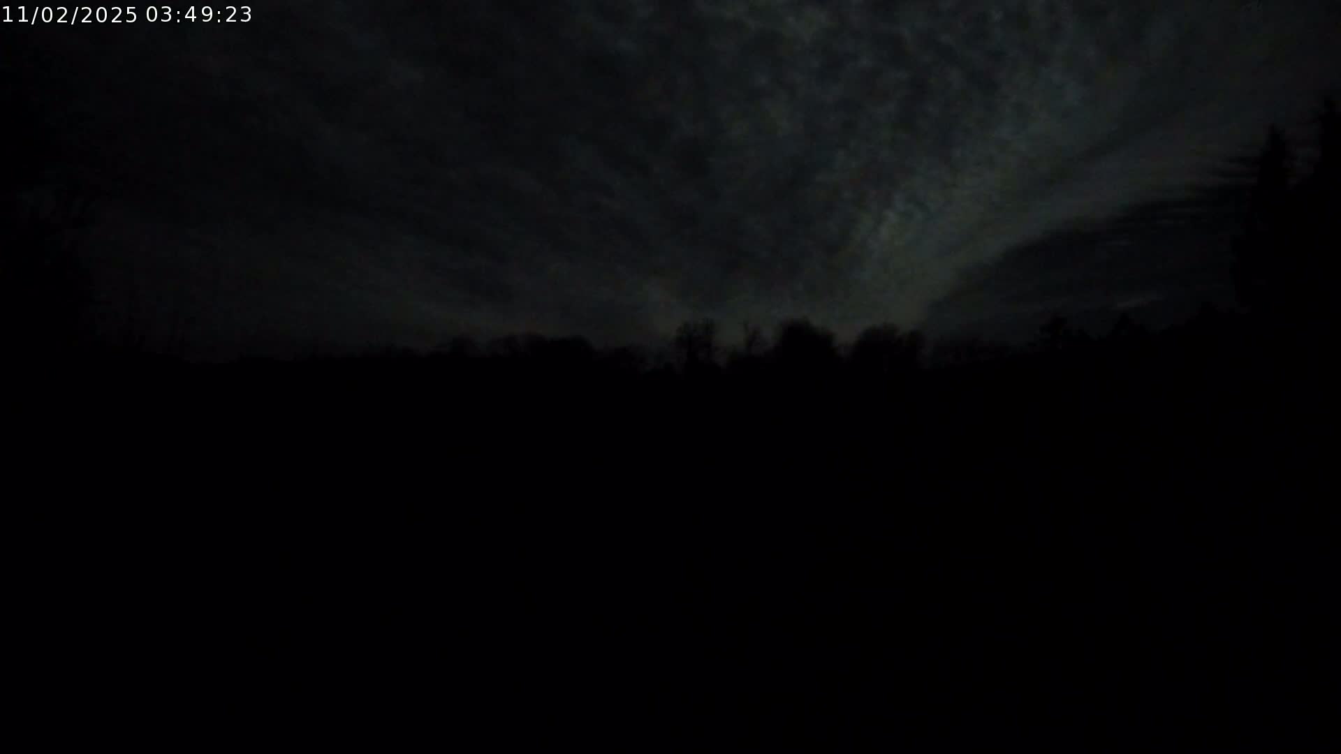 A dark, nighttime scene shows a silhouetted treeline against a cloudy sky.