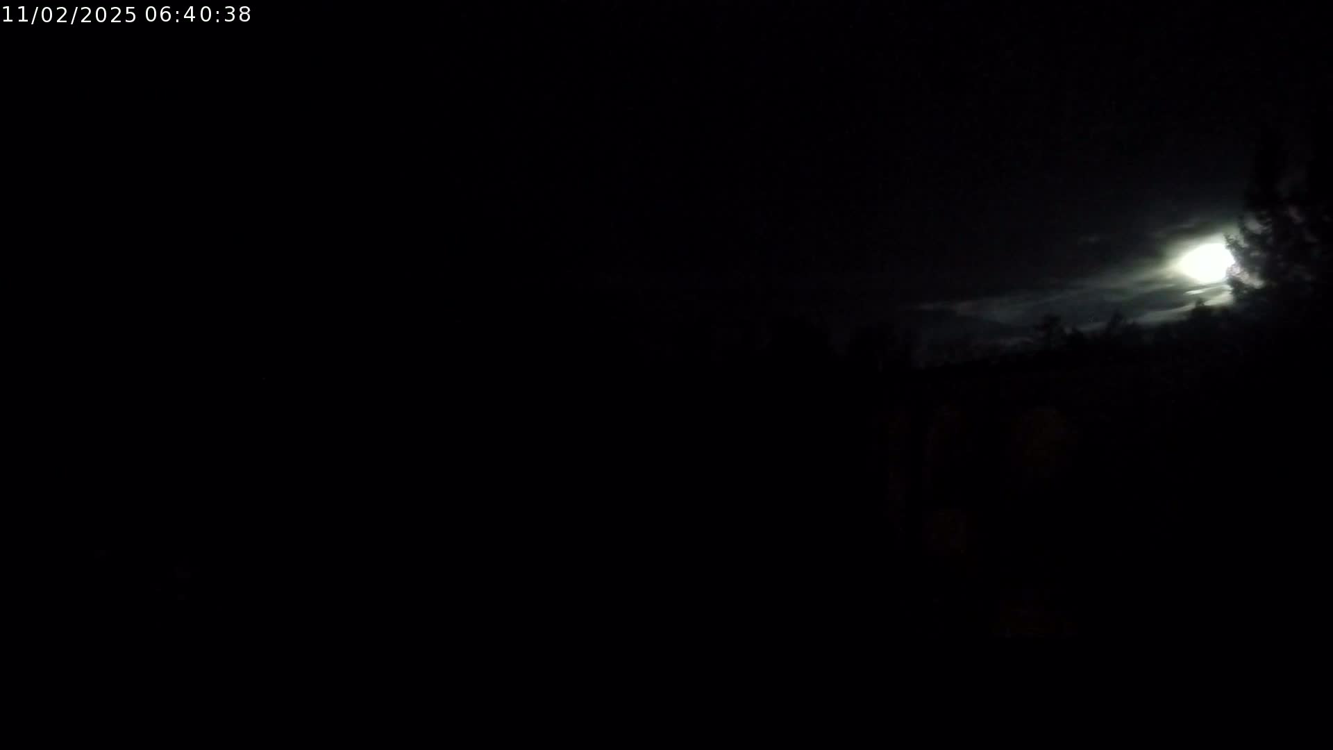 A bright moon is partially visible through a mostly dark, cloudy night sky above a silhouetted treeline.