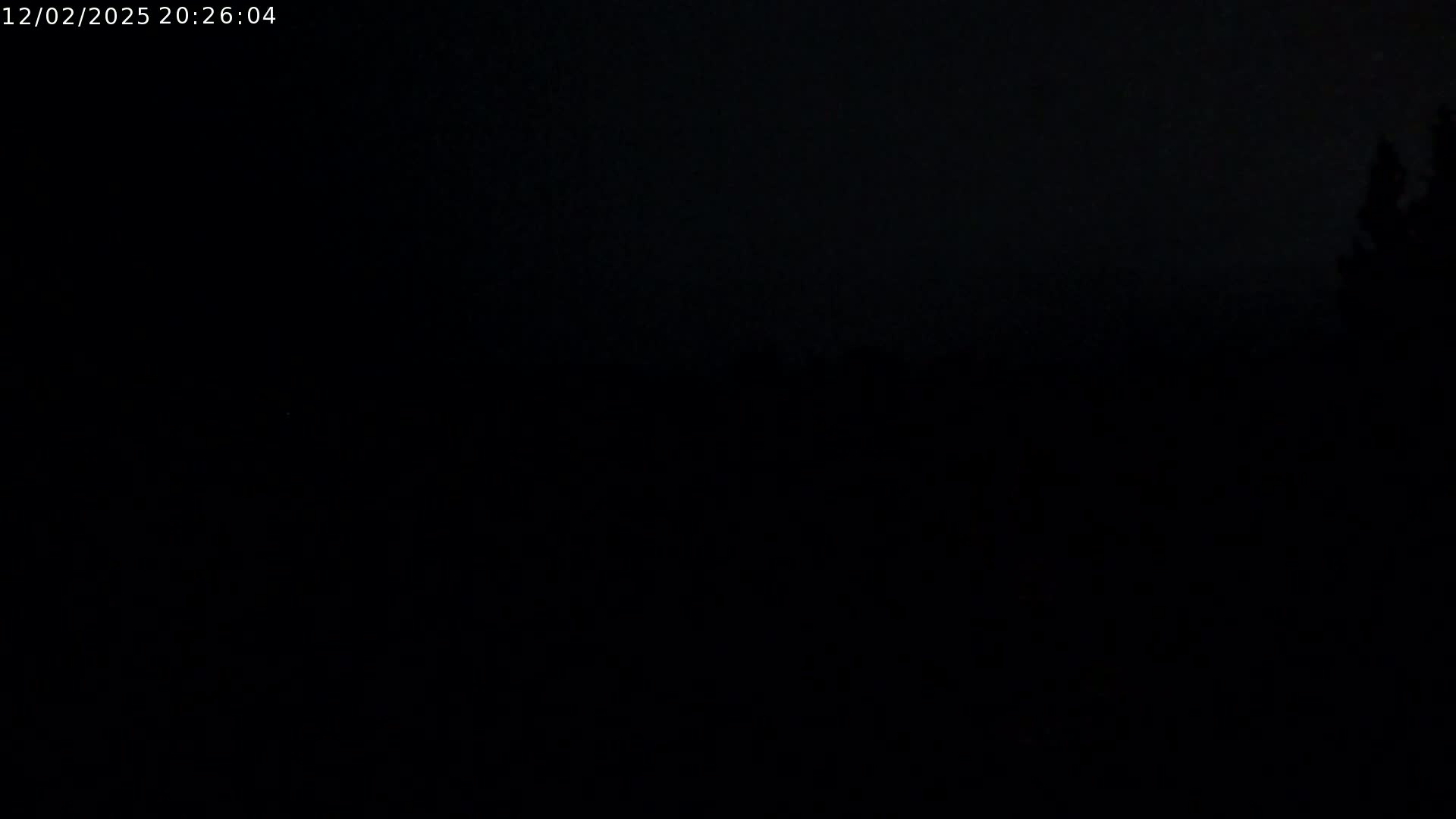 A dark, nighttime scene shows a mostly black sky and the silhouettes of trees on the right.