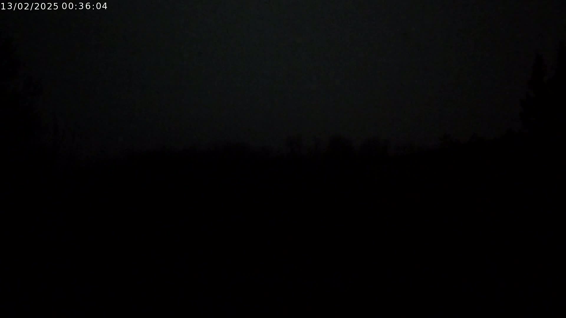 A dark, nighttime scene shows a silhouetted line of trees against a mostly dark sky.