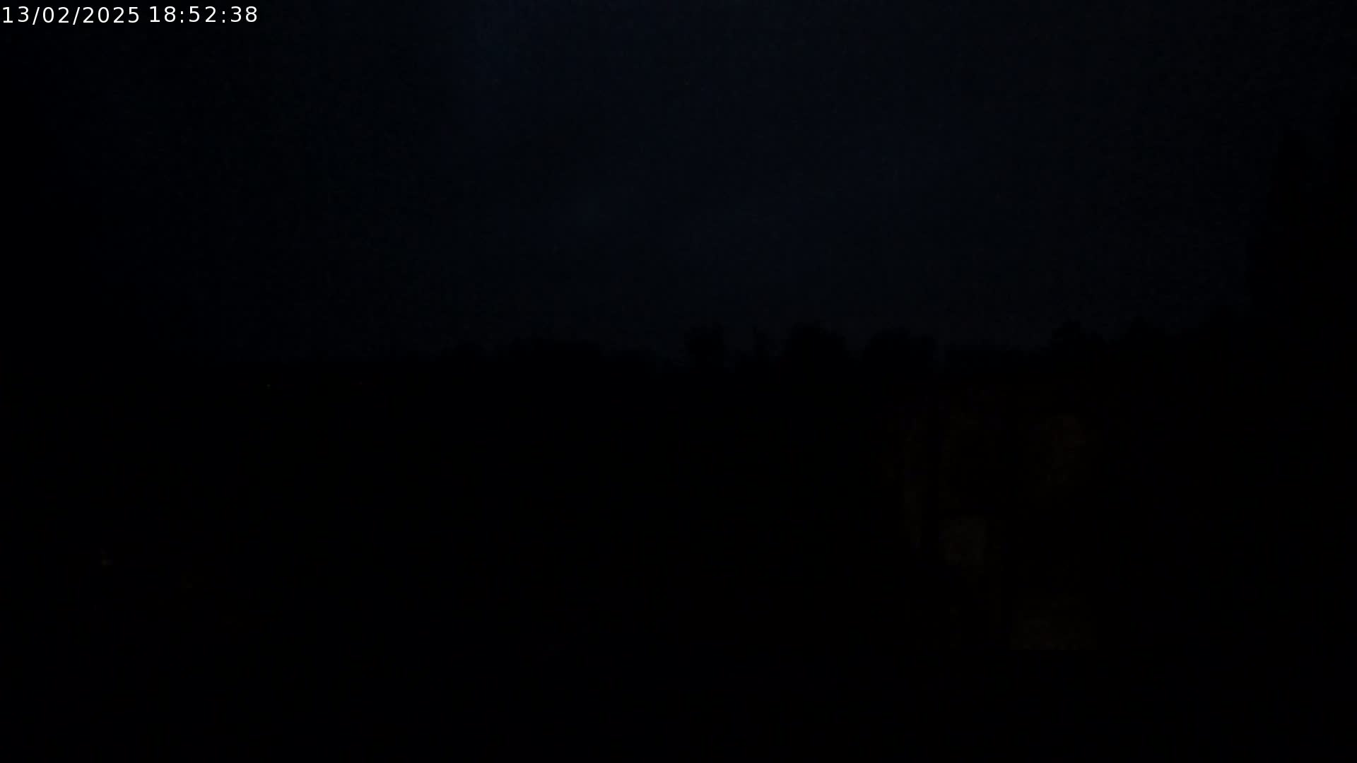A dark, nighttime scene shows a silhouetted line of trees under a very dark sky.