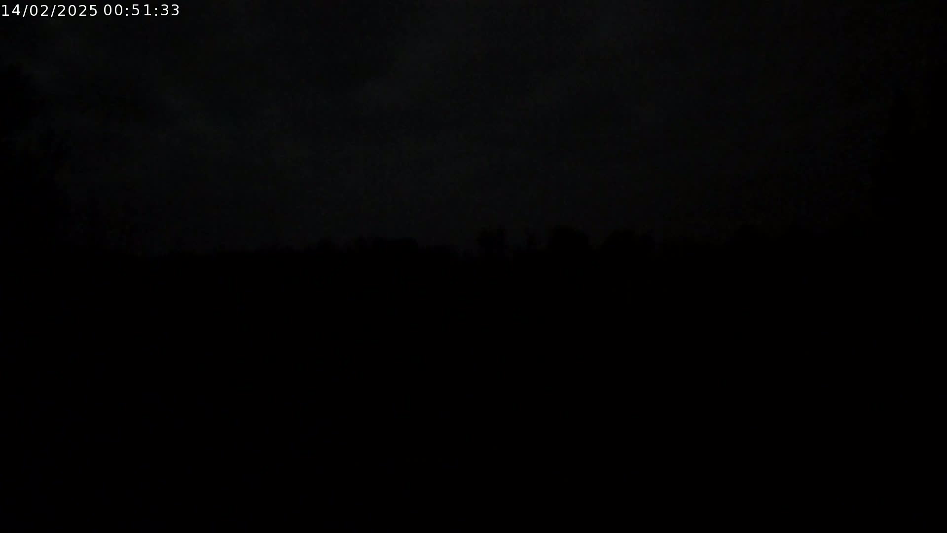 A dark, nighttime outdoor scene shows a silhouetted line of trees under a cloudy sky.