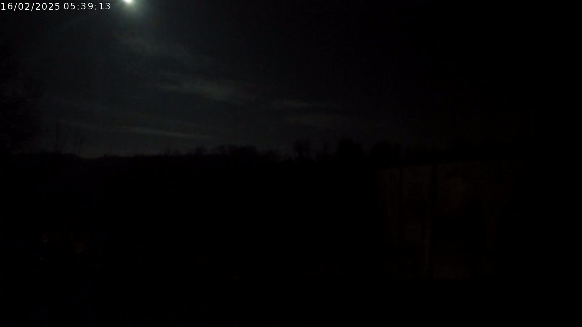 A bright moon illuminates a dark, nighttime landscape of trees under a mostly clear sky with a few wispy clouds.