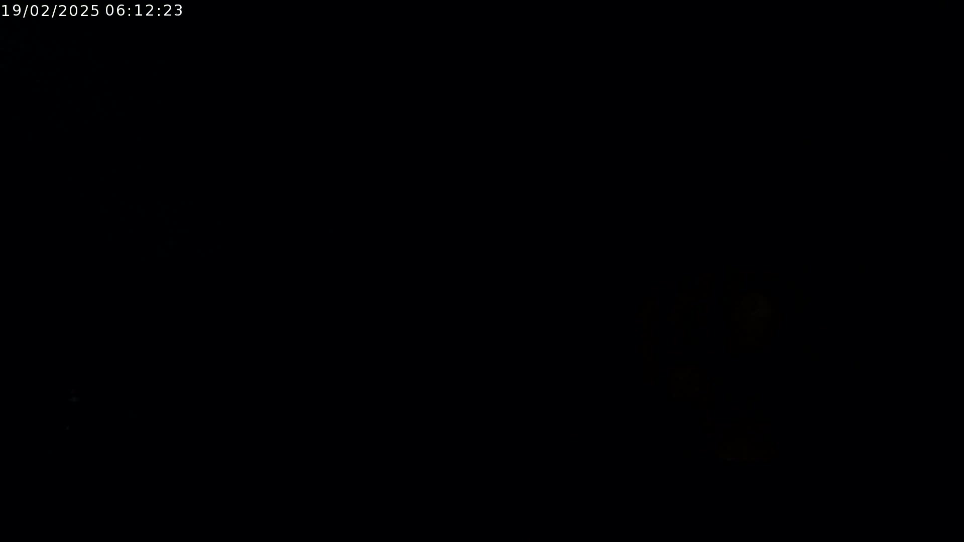 The image is almost entirely black, with a faint, blurry light source visible in the lower right corner.