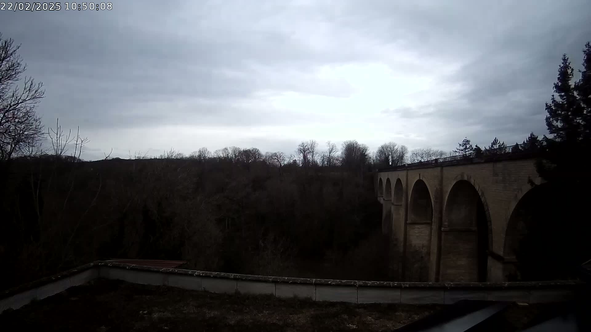 A stone viaduct with multiple arches is visible beyond a line of bare winter trees under a cloudy sky.