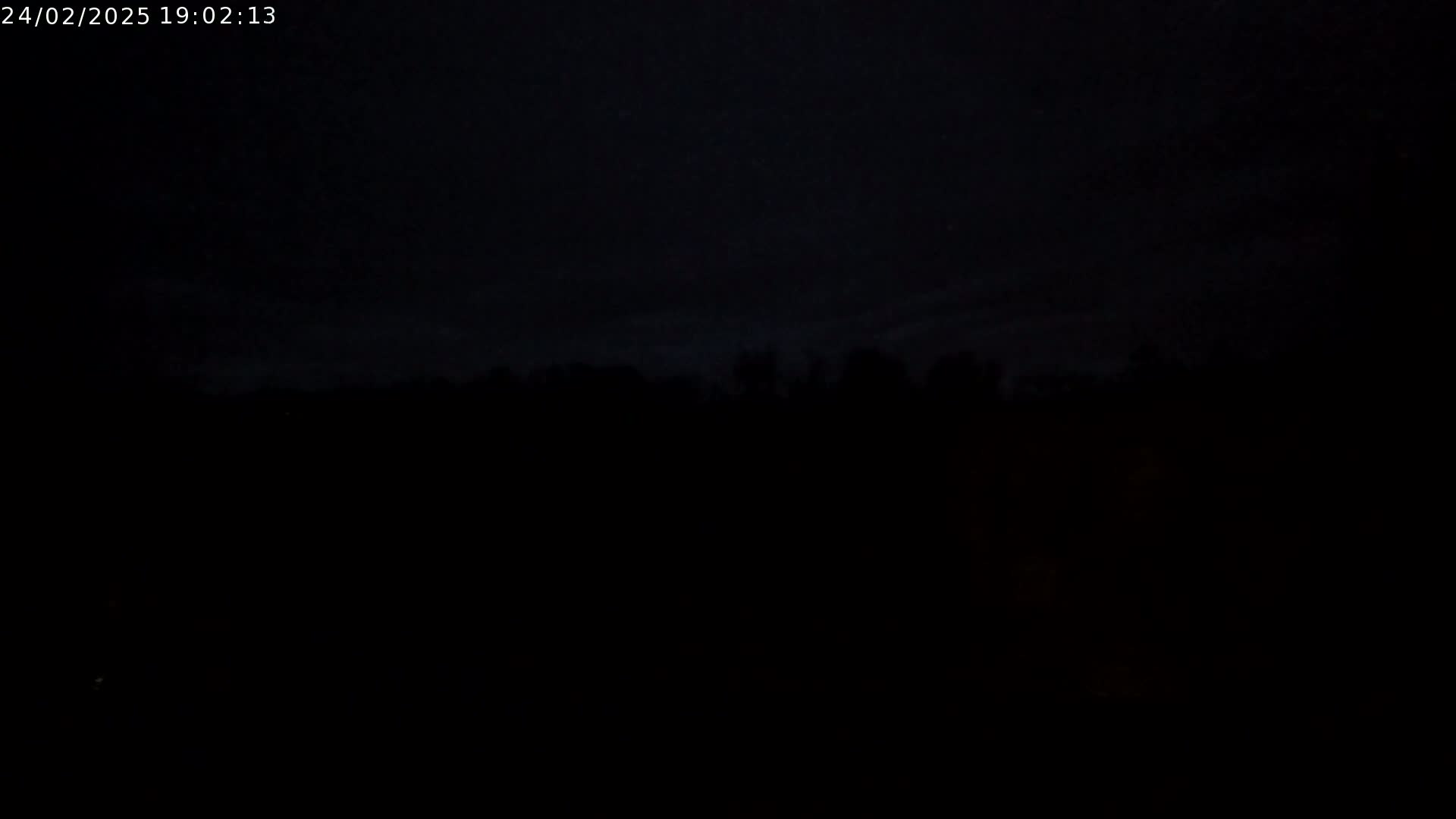 A dark, nighttime scene shows a silhouetted line of trees against a mostly clear, dark sky.