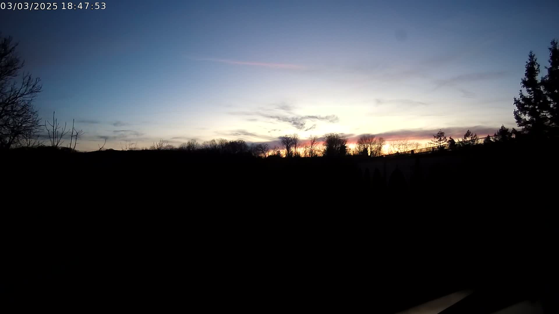 A sunset with pale pink and orange hues illuminates a silhouetted line of trees and shrubs.