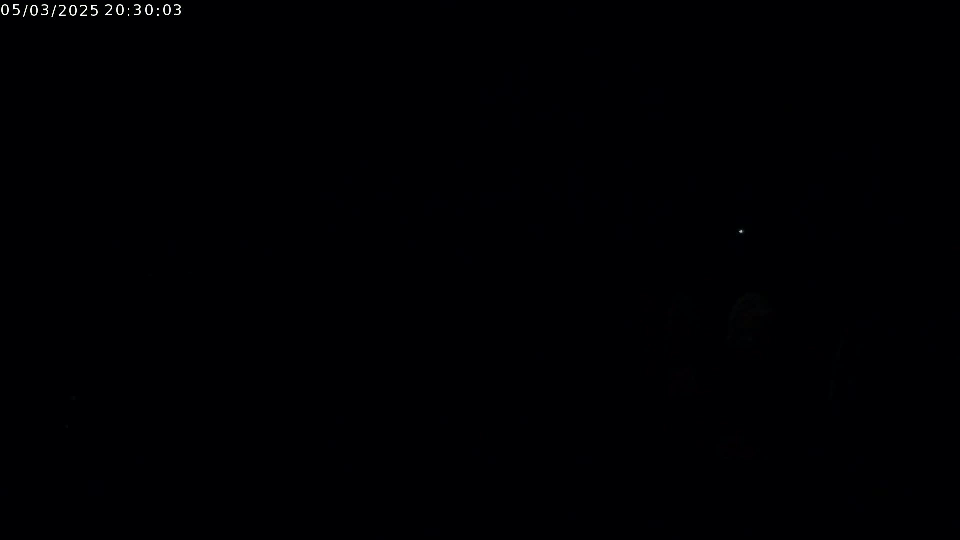 A faint light is visible in a dark, nighttime scene.