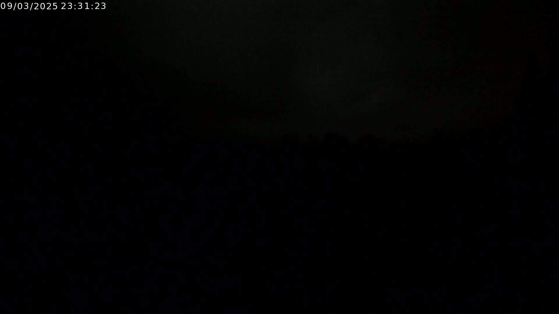 A dark, nighttime image shows a silhouetted treeline against a mostly clear sky.