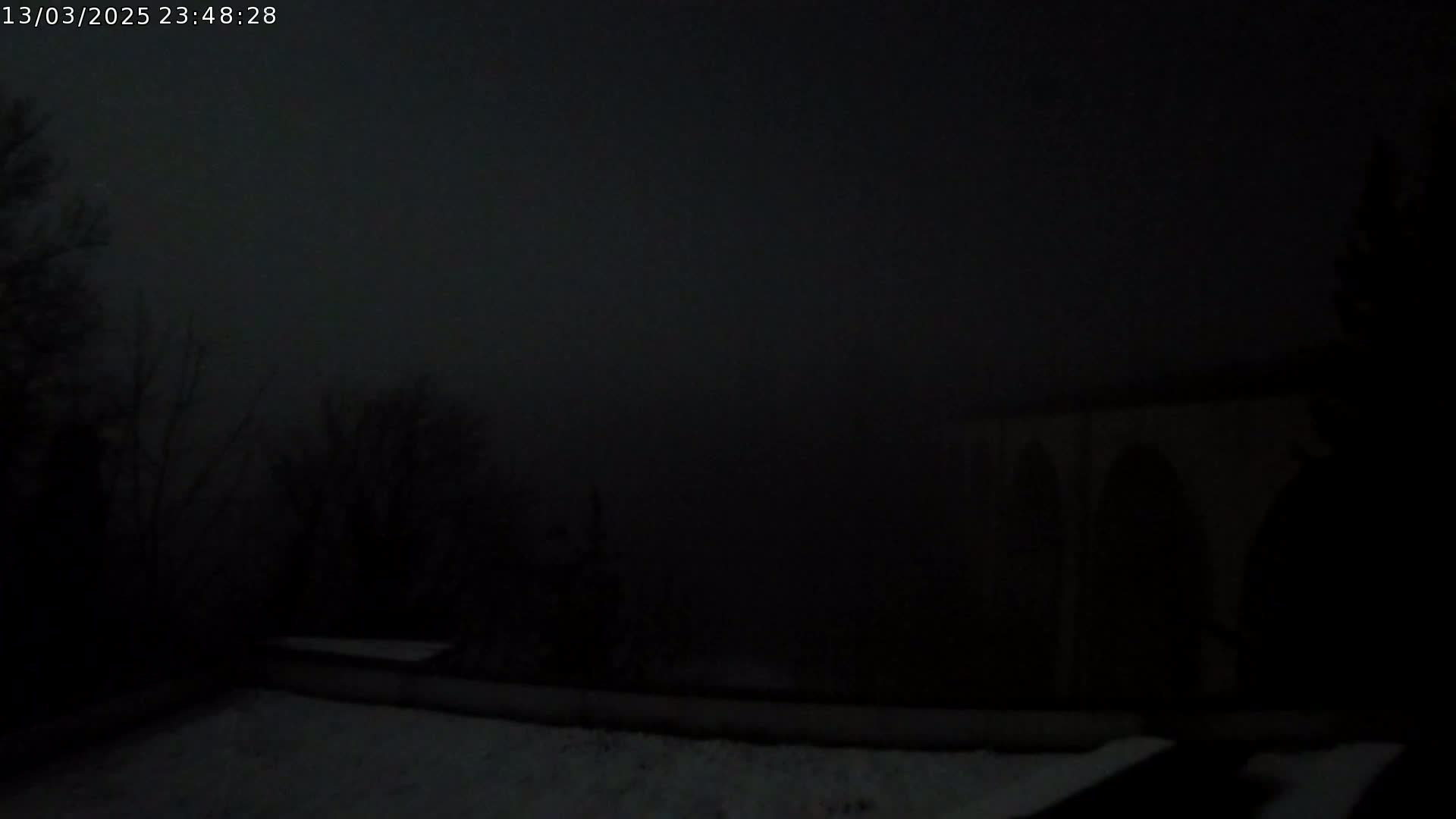 A dark, foggy night scene shows snow-covered ground in the foreground, silhouetted trees, and a barely visible stone structure in the background.