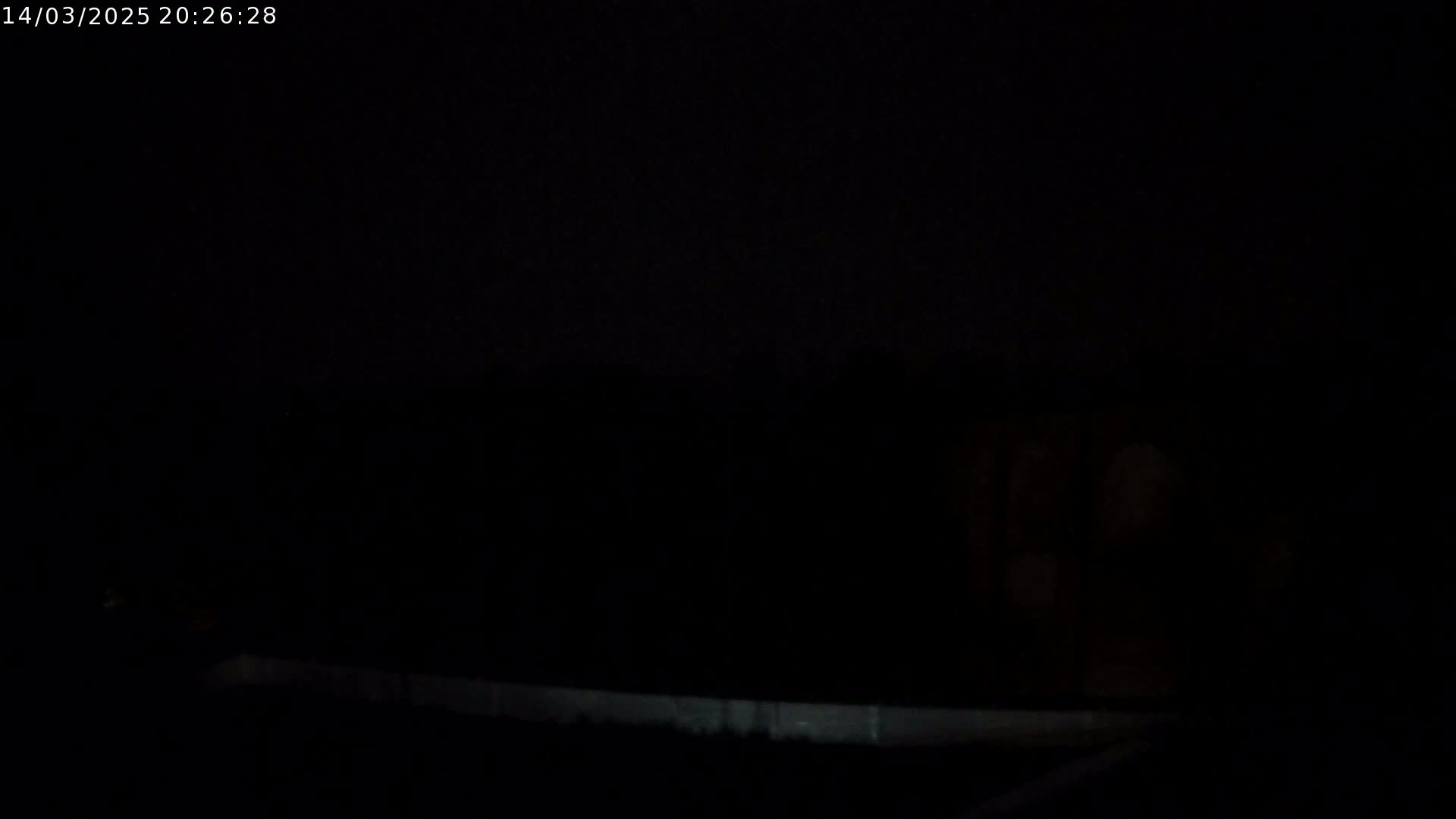 A dark, nighttime scene shows a low, indistinct line of trees and a very faint, bright area in the lower left corner, possibly a light source.