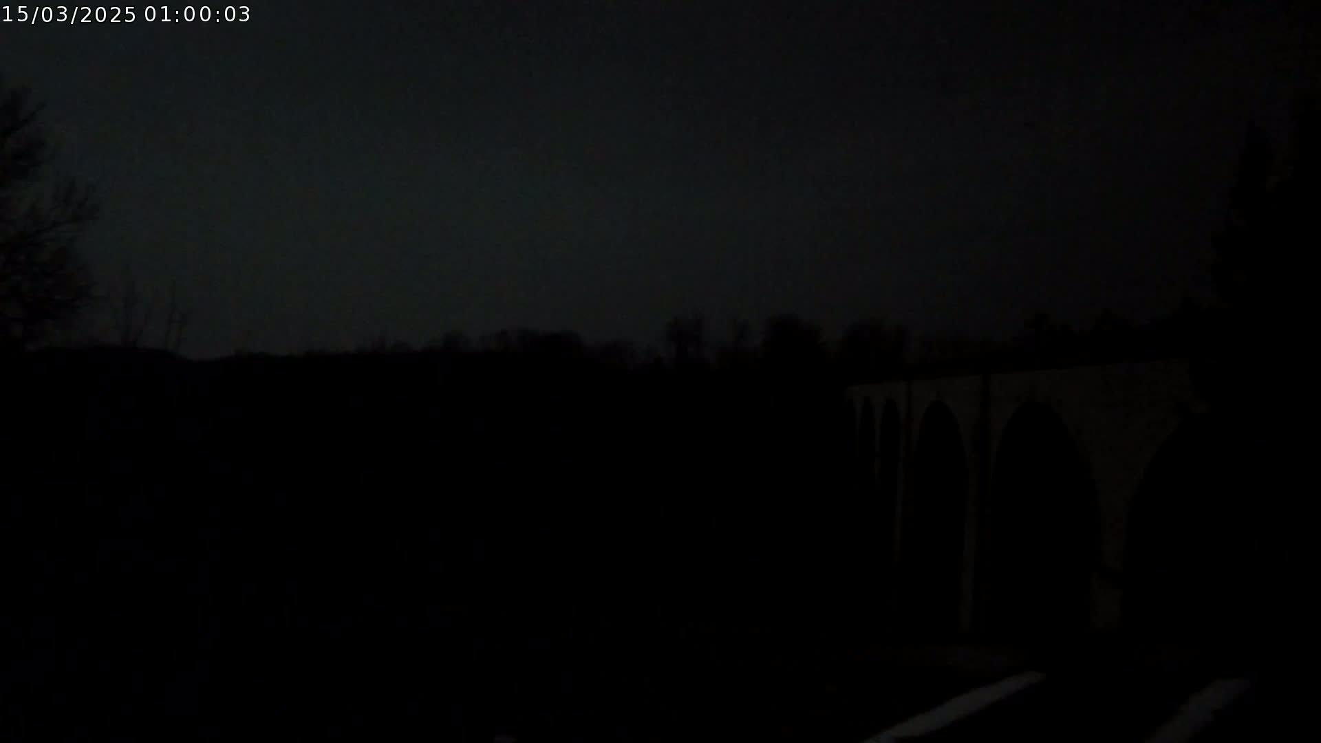 A dark, nighttime image shows a stone arch bridge in the distance behind a silhouetted line of trees.