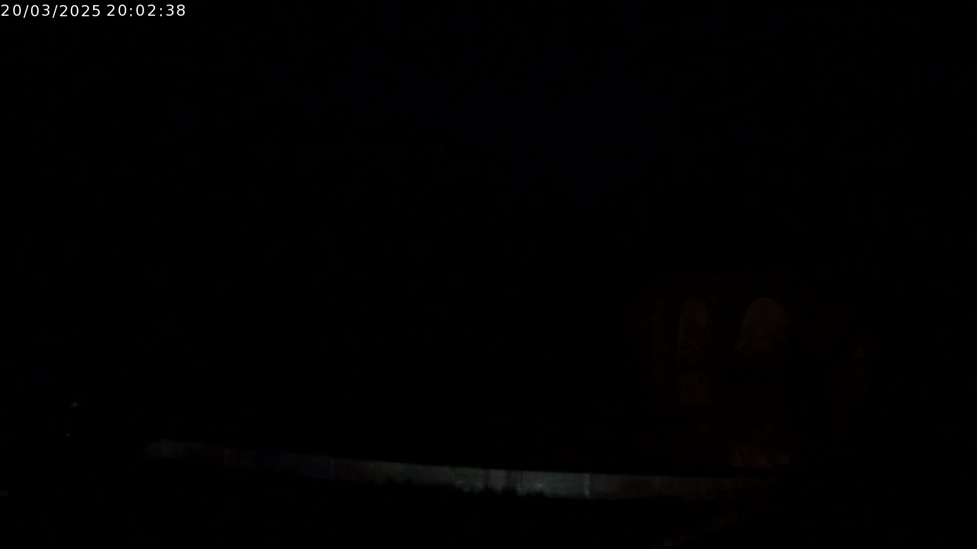 A dark, nighttime scene shows faintly illuminated objects in the distance, possibly trees or structures, near a low, light-colored horizontal line, likely a wall or fence.