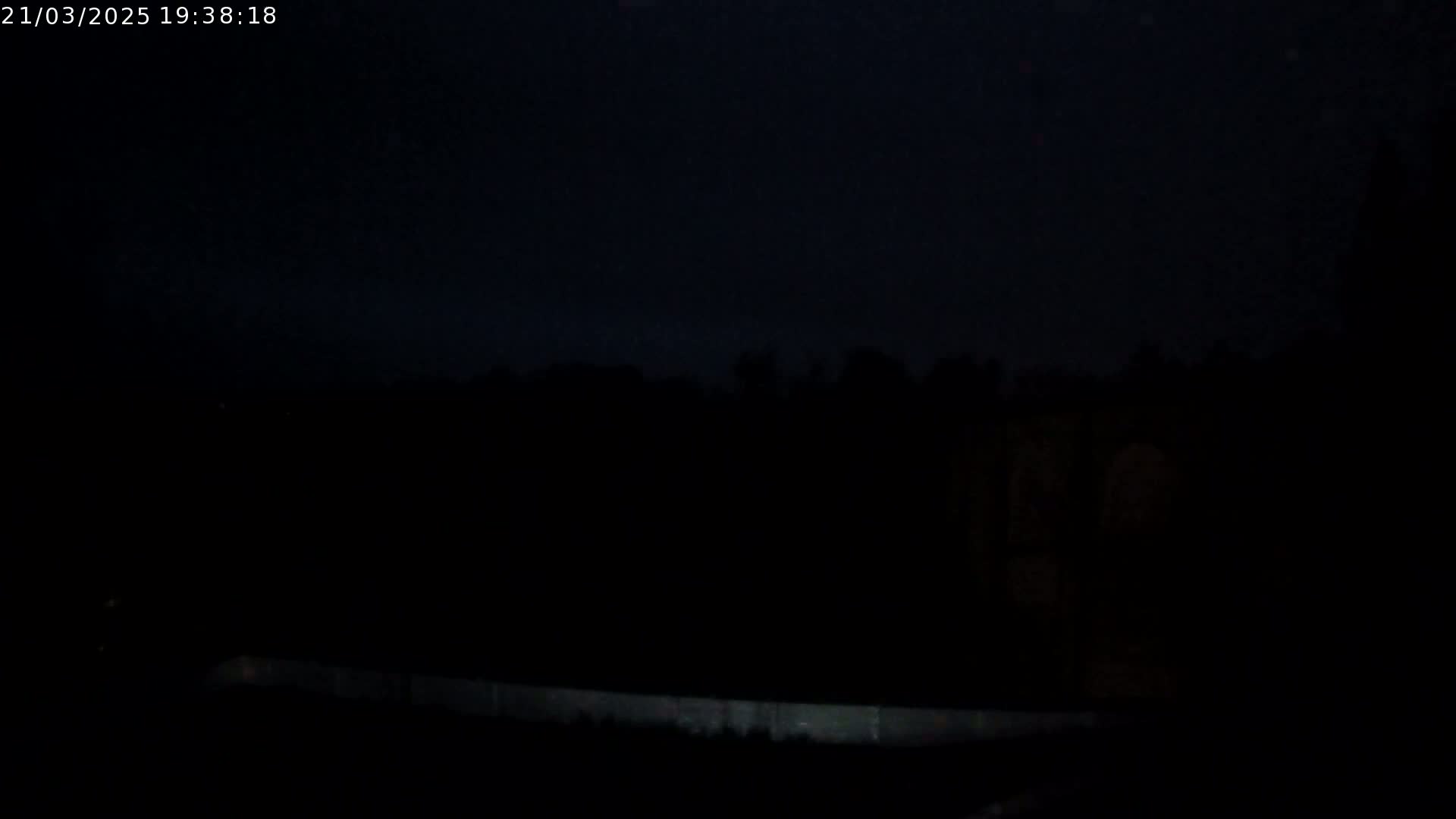 A low-light nighttime image shows a dark, silhouetted treeline with a bright horizontal line in the bottom of the frame.