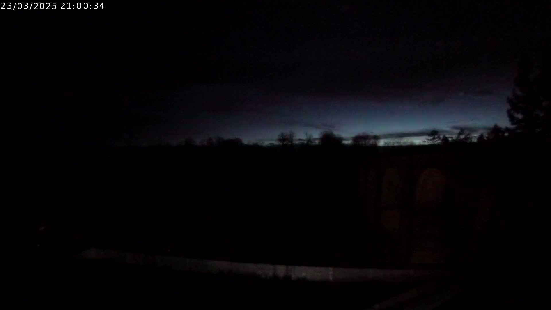 A dark, nighttime scene shows a silhouetted line of trees against a slightly lighter, purplish-blue sky.