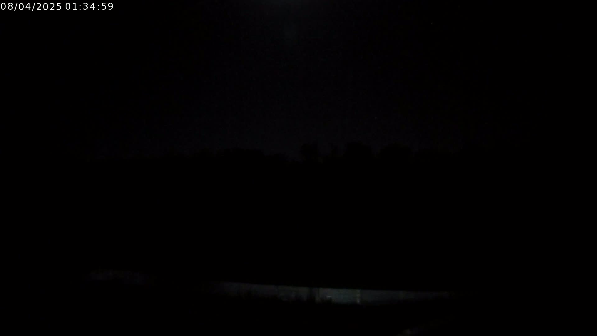 A dark, nighttime scene shows a moonlit sky above a silhouetted line of trees.
