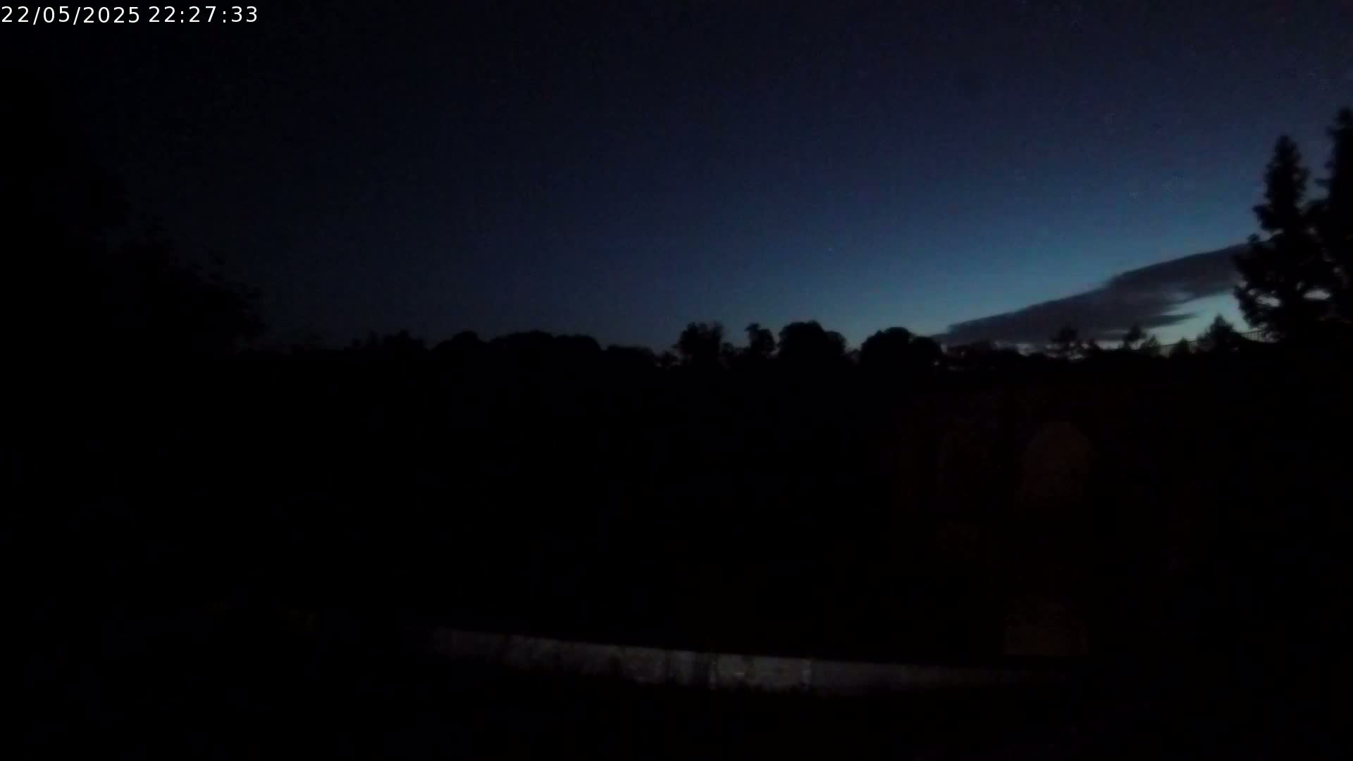 A dark, nighttime scene shows a silhouetted line of trees against a mostly clear, dark blue sky with a few faint clouds.