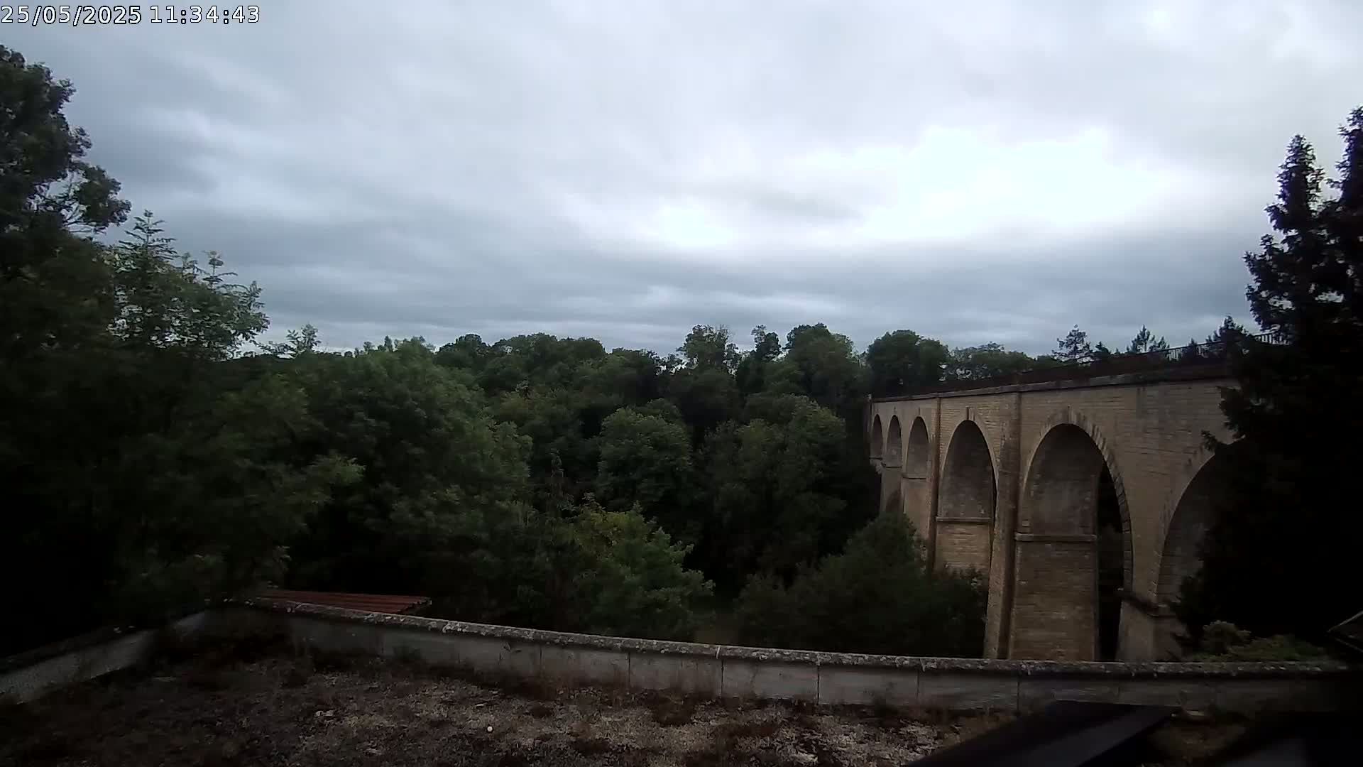 A stone viaduct with multiple arches is seen beyond a line of leafy green trees under a cloudy sky.