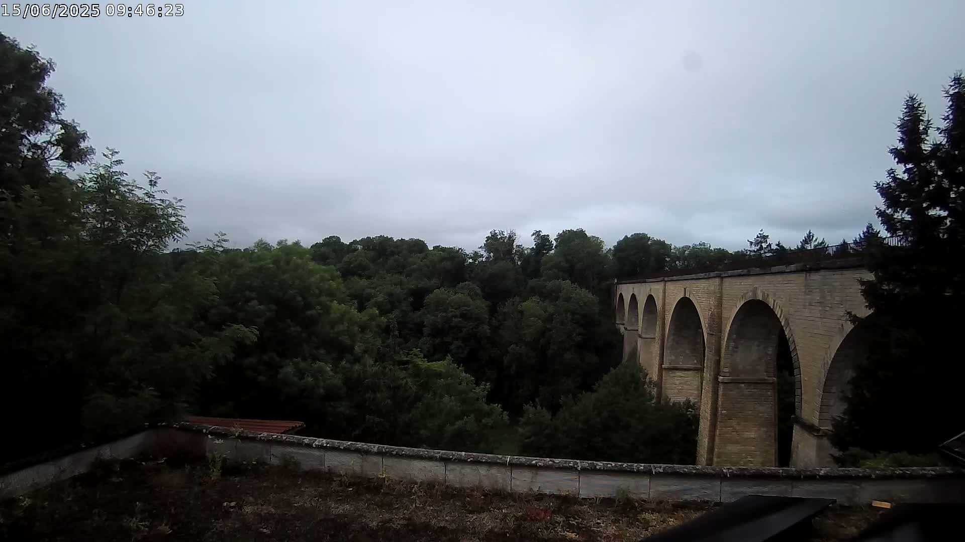 A stone viaduct with multiple arches is visible beyond a line of lush green trees under an overcast sky.