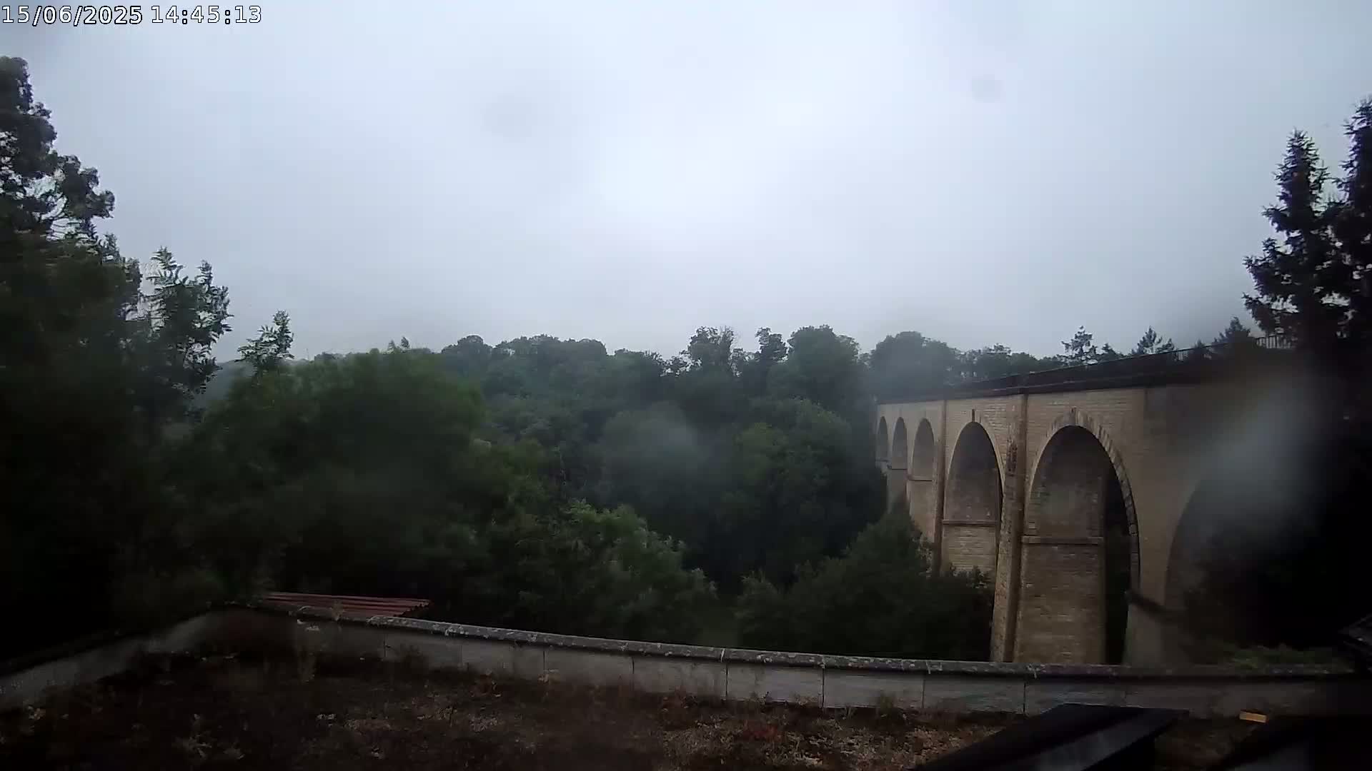 A stone arched bridge is visible beyond a low wall and a dense forest in rainy weather.