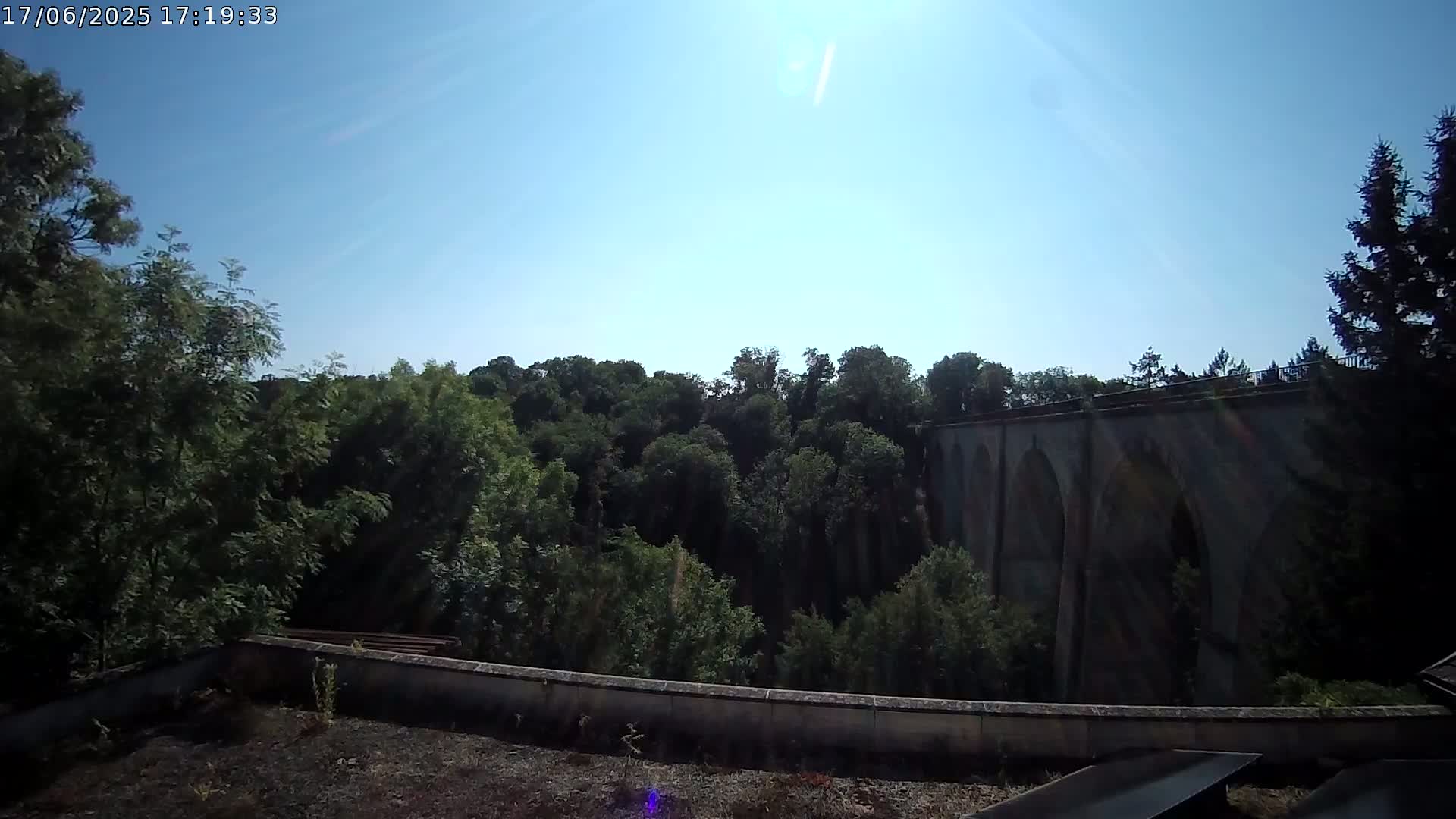 A sunny day reveals a stone arched bridge nestled within a lush green forest, viewed from a rooftop.