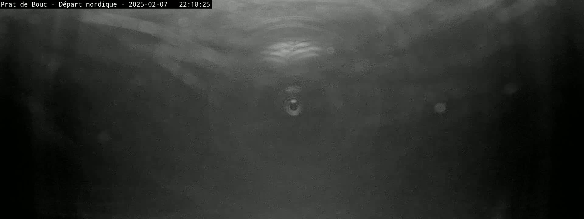 A grainy, dark image shows an underwater scene at night, with faint, blurry shapes visible in the murky water.