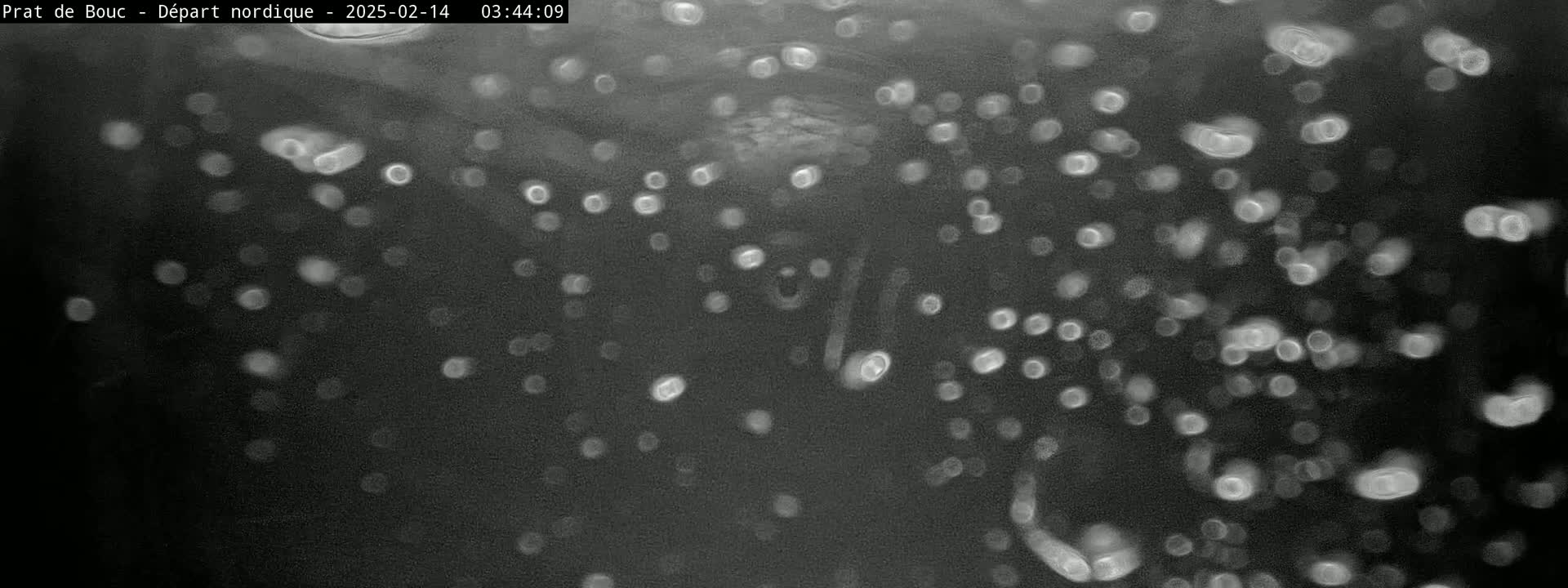 A dark, blurry image shows numerous out-of-focus white circles scattered against a black background, possibly depicting nighttime snow or rain.