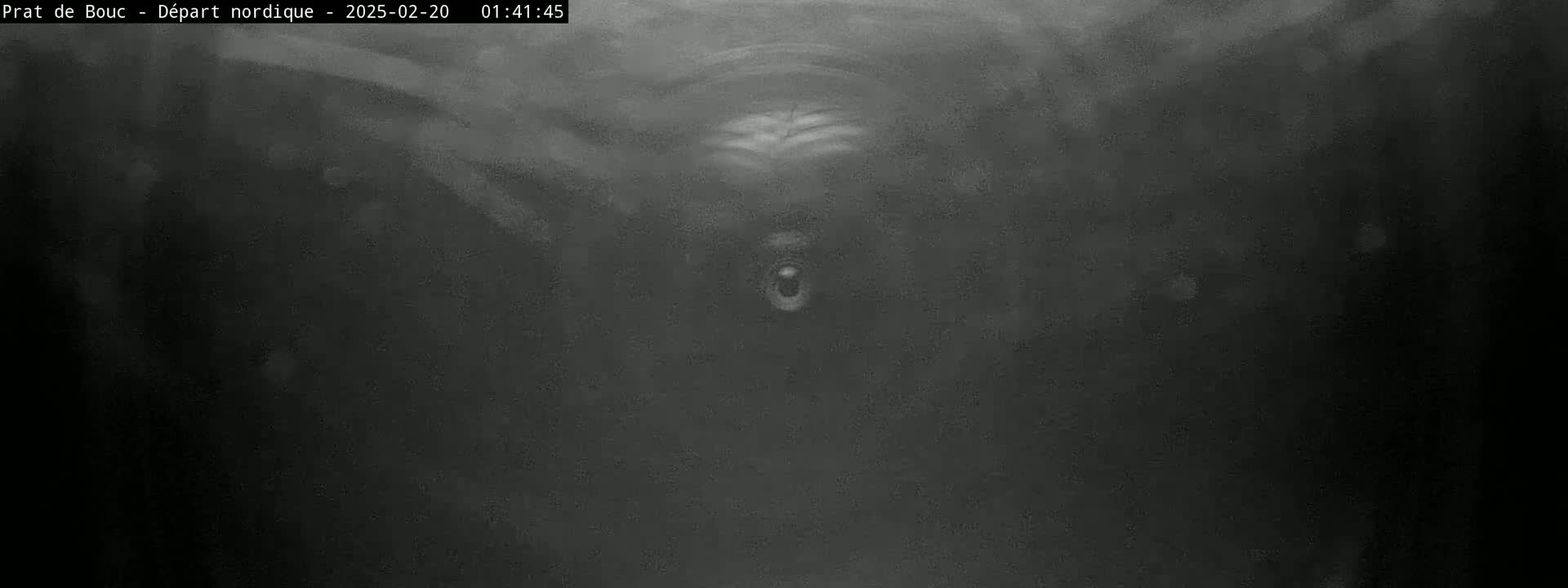 A grainy, dark, and blurry image shows a view from what seems to be underwater, possibly at night.