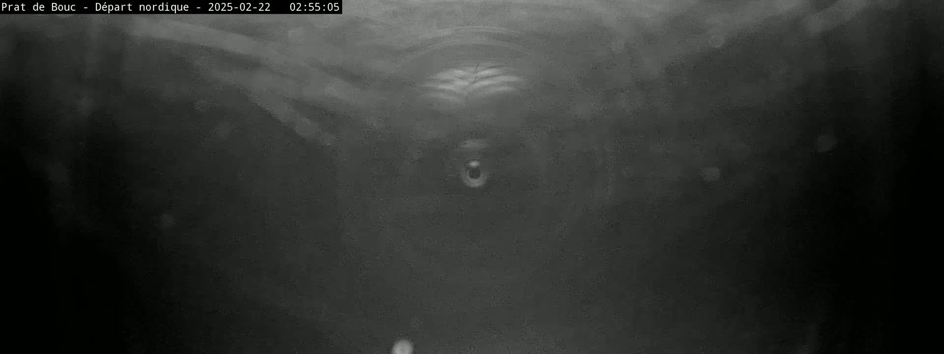 A blurry, dark grayscale image shows a seemingly underwater scene with faint, indistinct shapes and particles floating in the water.