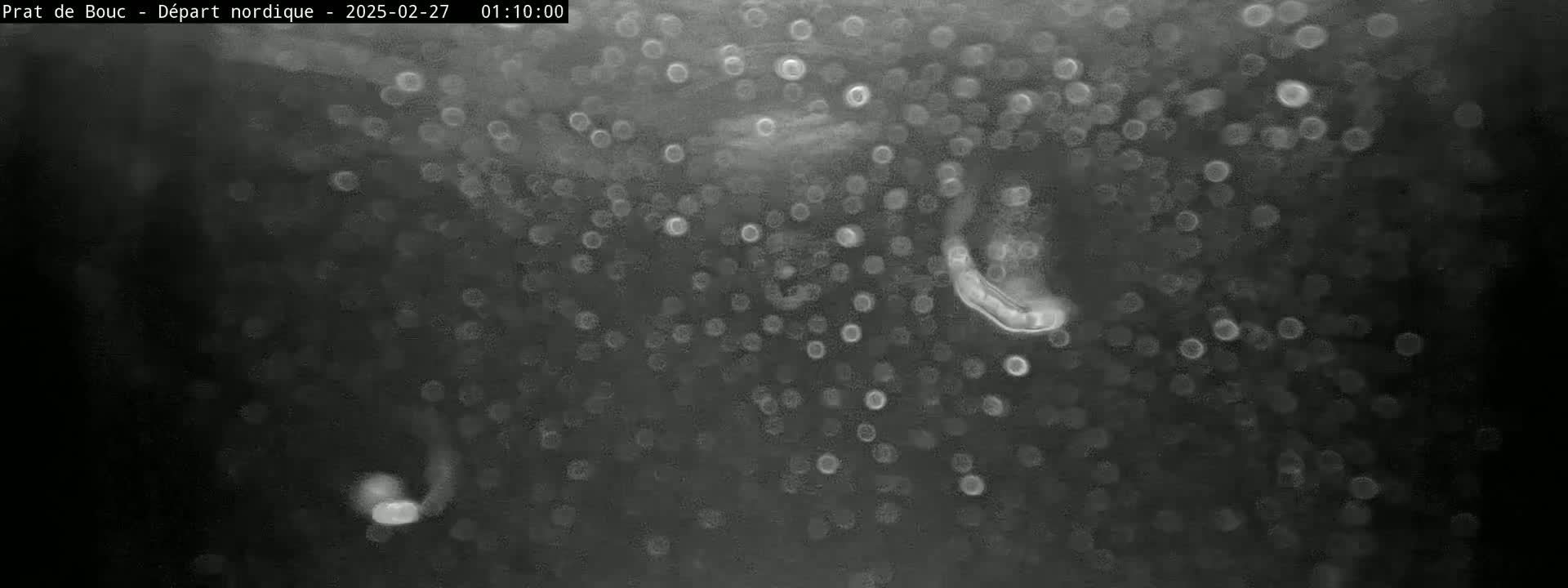 A dark, blurry image shows numerous out-of-focus light spots against a dark background, possibly depicting nighttime snowfall.