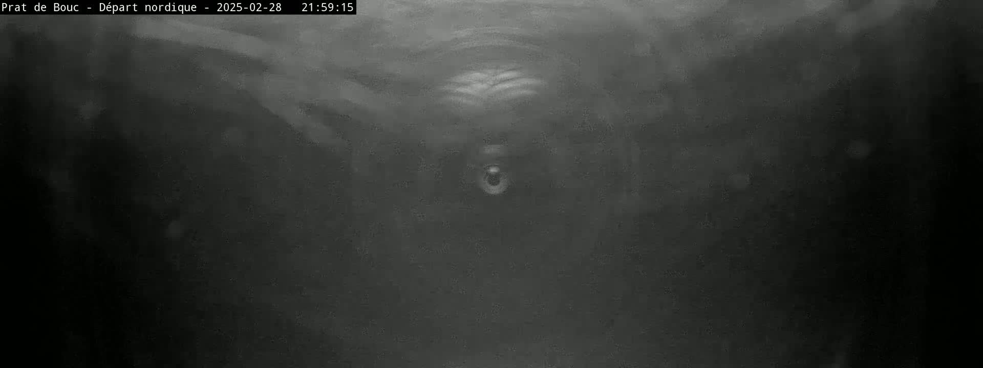 A blurry, dark grayscale image shows a possibly underwater scene with indistinct shapes and a small bright spot in the center.