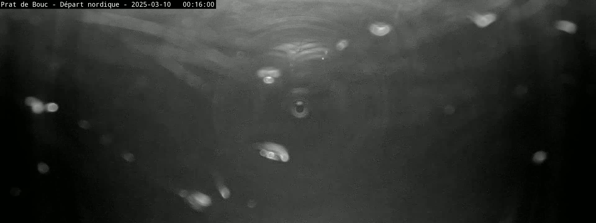 A dark, blurry image shows numerous out-of-focus white specks scattered against a black background.