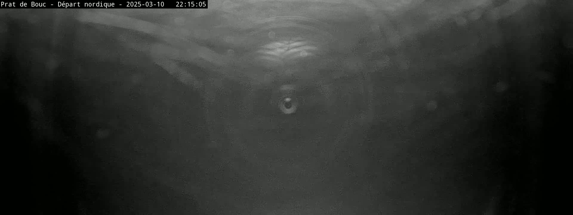 A blurry, grayscale image shows a dark, underwater scene with a small, indistinct object visible in the center.