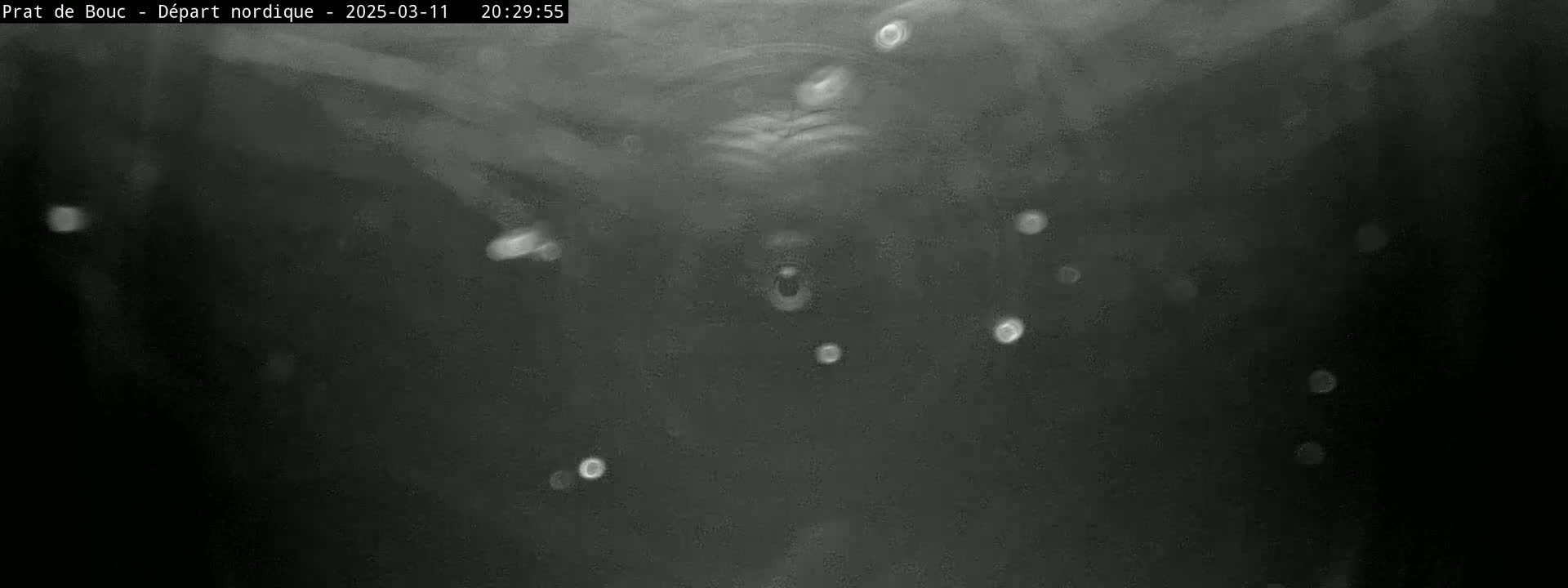 A grainy, dark image shows numerous small, bright particles floating in a hazy, dark environment.